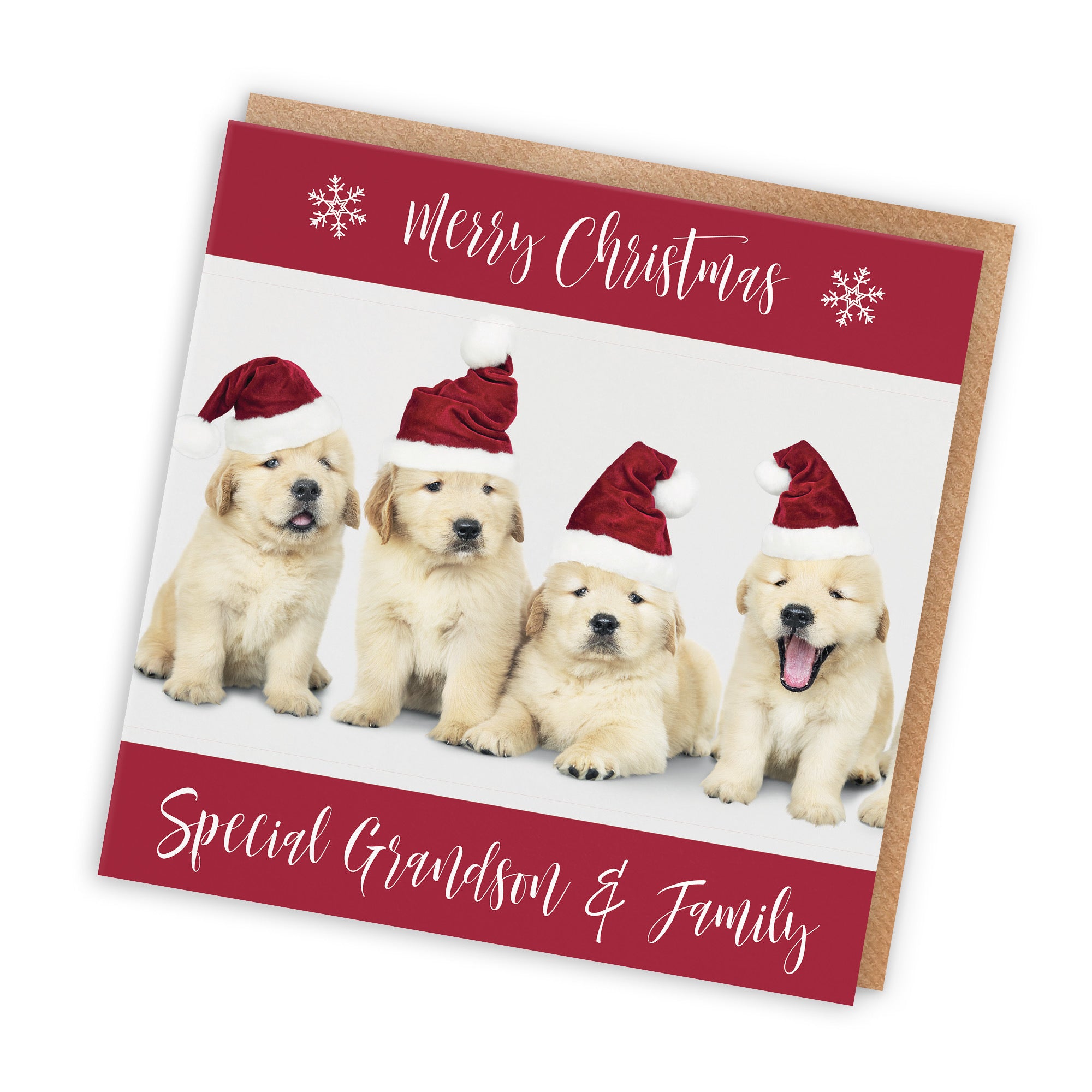 Grandson And Family Christmas Card Puppy - Default Title (TH03037)