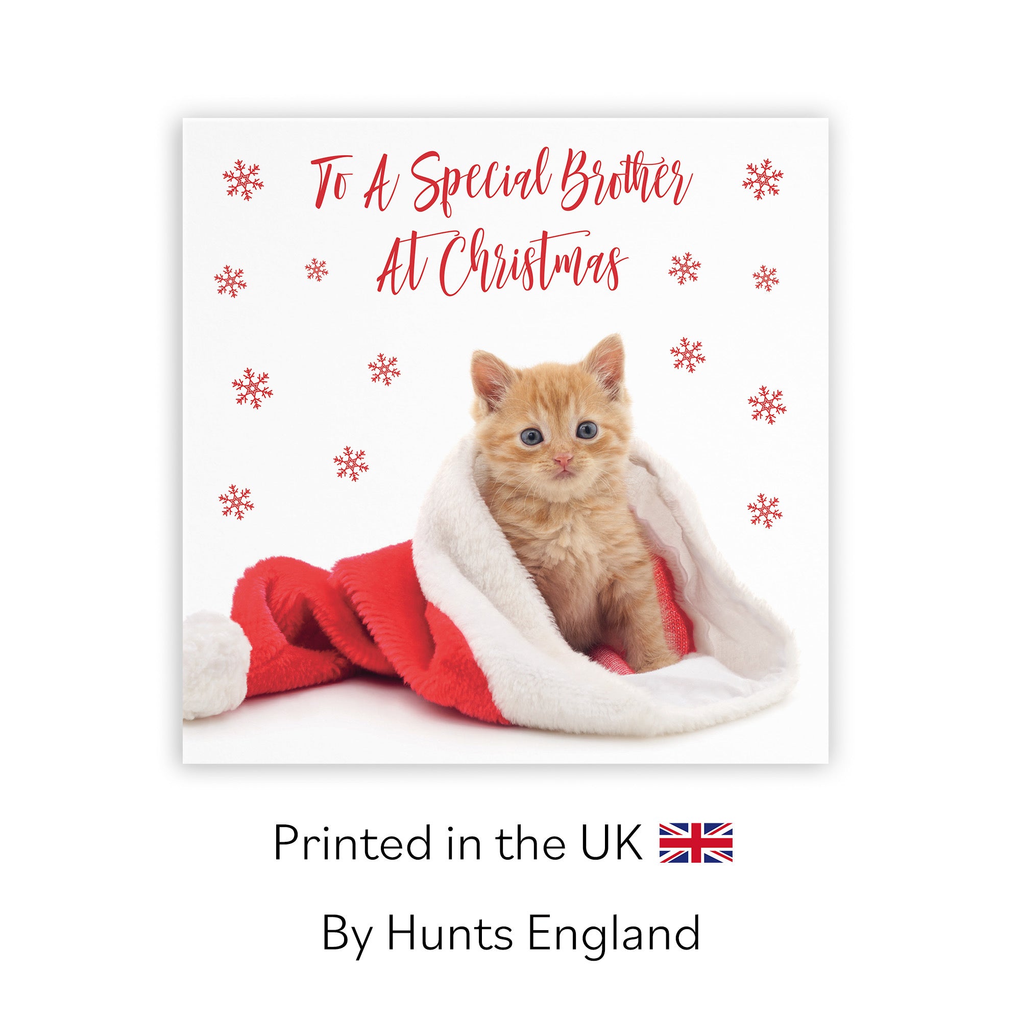Brother Christmas Card Kitten - Default Title (TH03058)