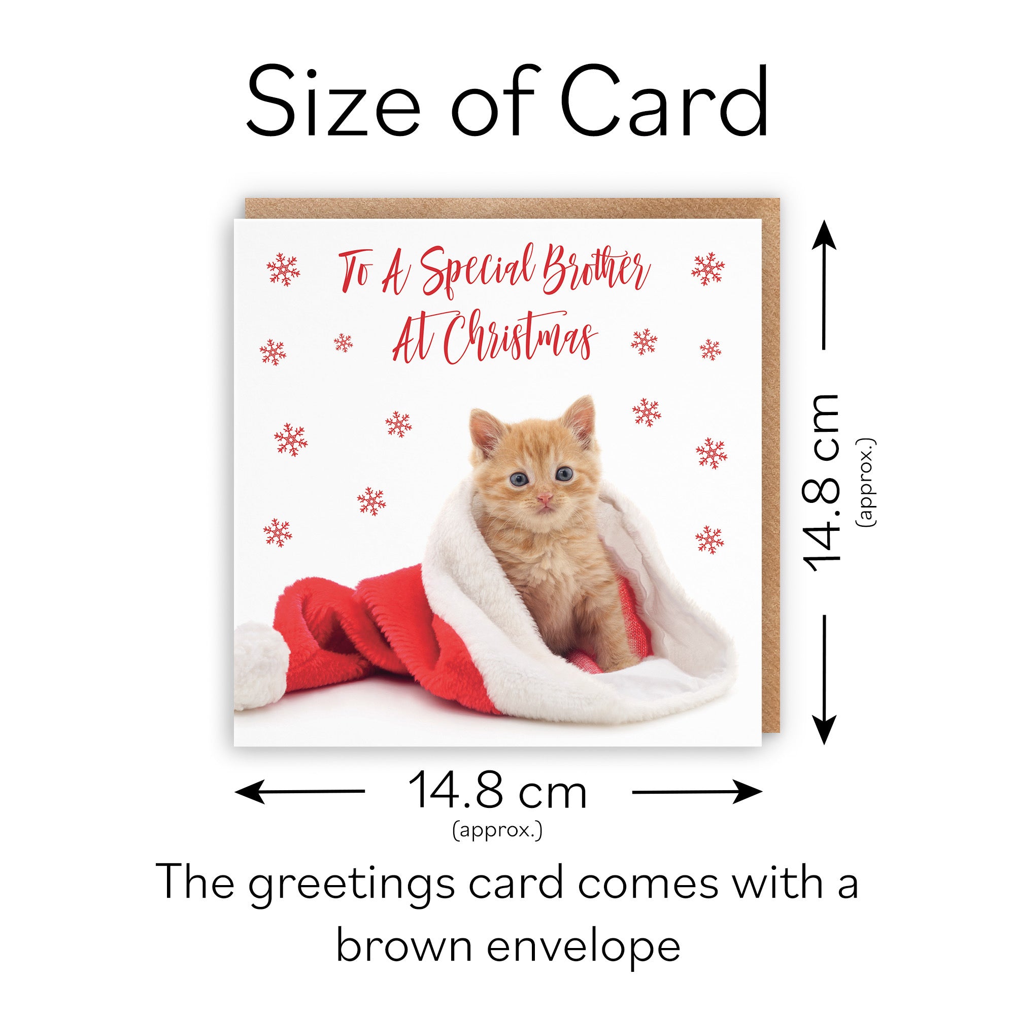Brother Christmas Card Kitten - Default Title (TH03058)