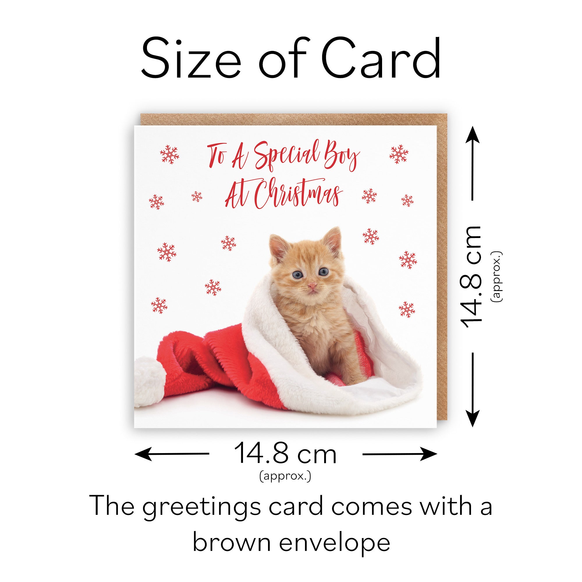 Boy Christmas Card Kitten - Default Title (TH03069)