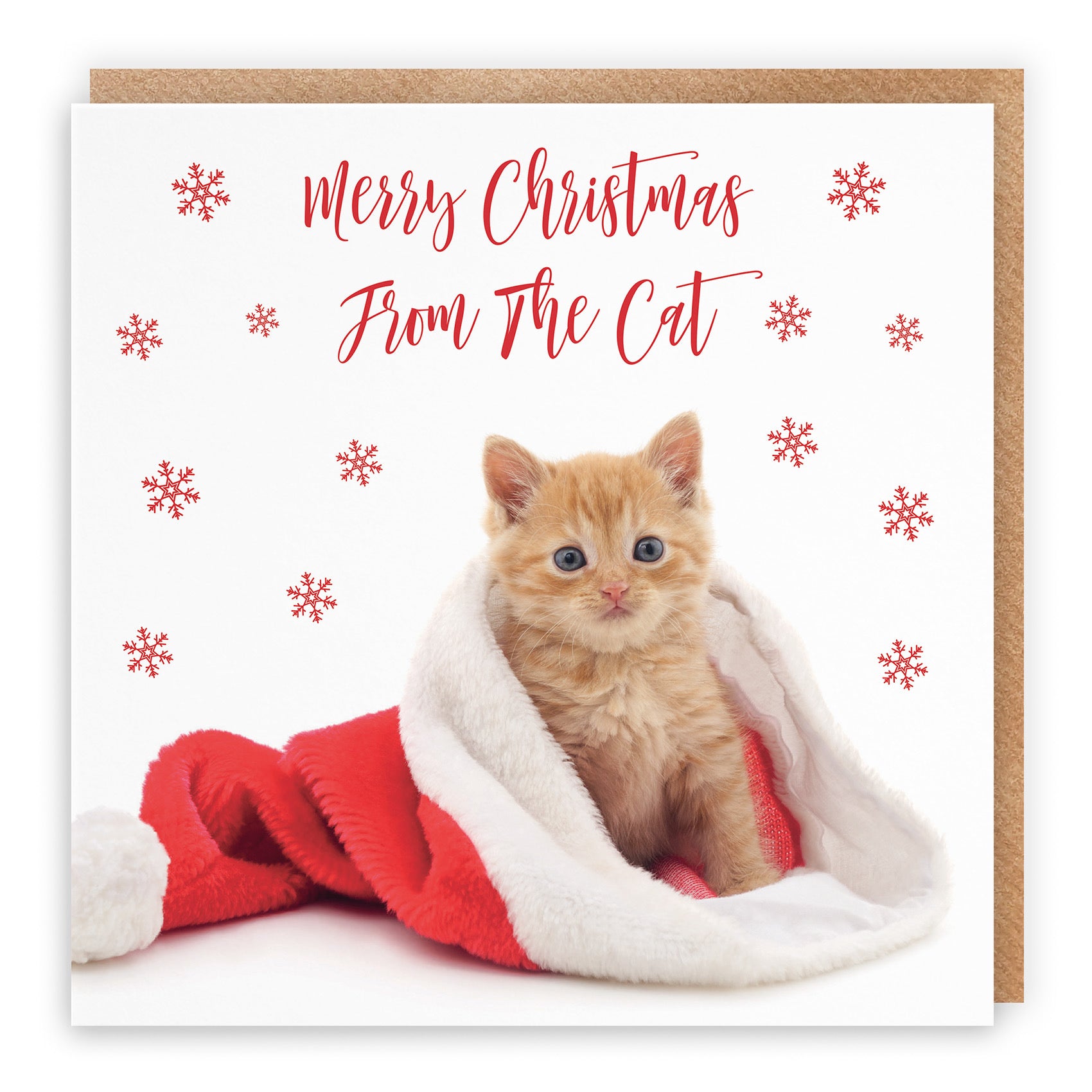 From The Cat Christmas Card Kitten - Default Title (TH03071)