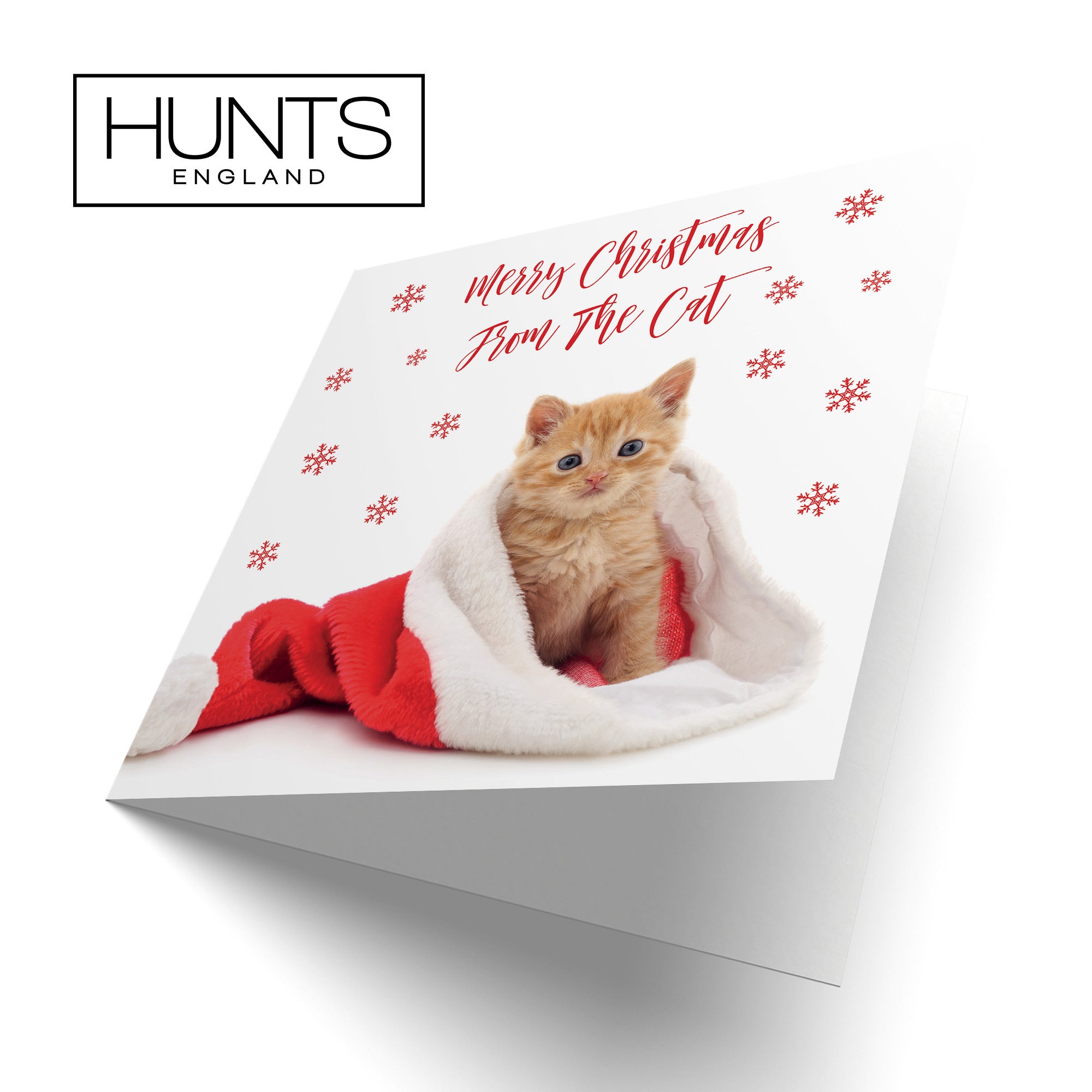 From The Cat Christmas Card Kitten - Default Title (TH03071)