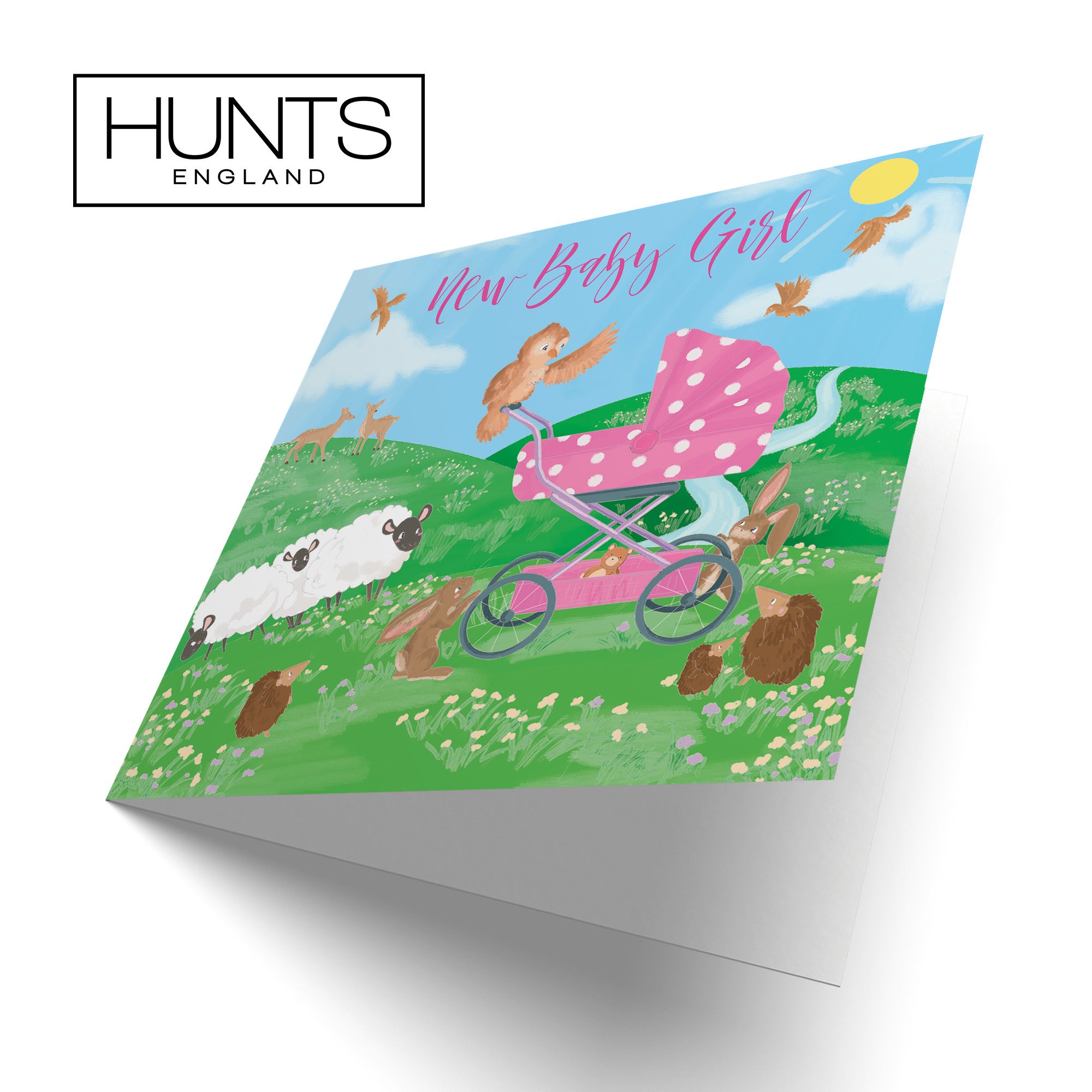 New Baby Girl Card Countryside - Default Title (TH03351)