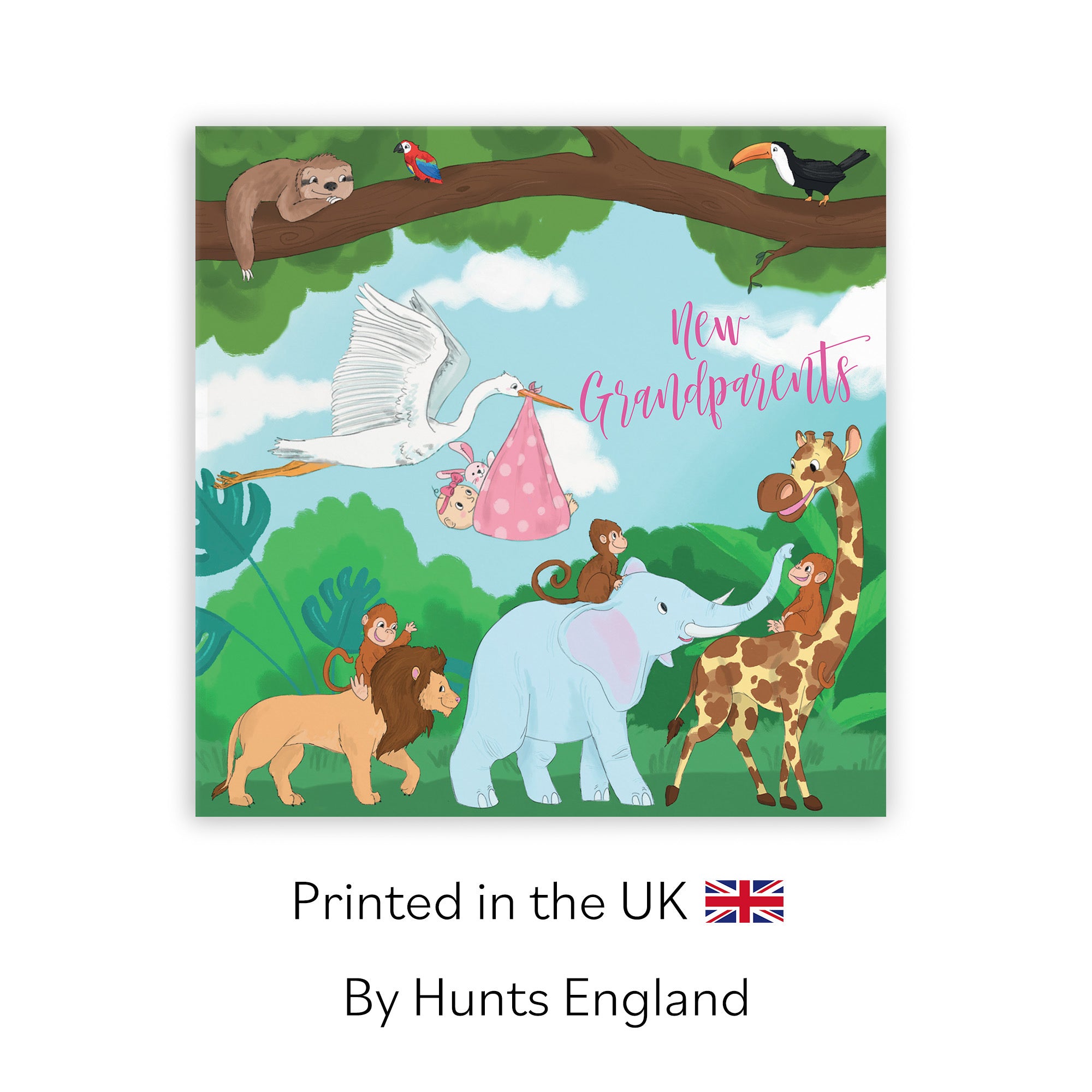 New Grandparents Of Baby Girl Congratulations Card Jungle - Default Title (TH03385)