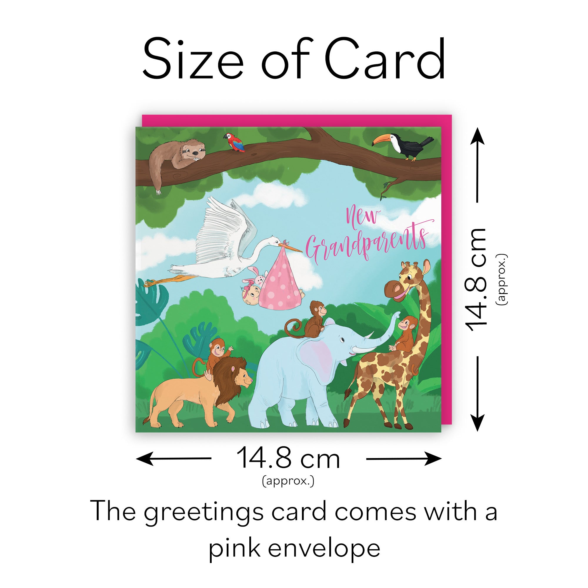 New Grandparents Of Baby Girl Congratulations Card Jungle - Default Title (TH03385)