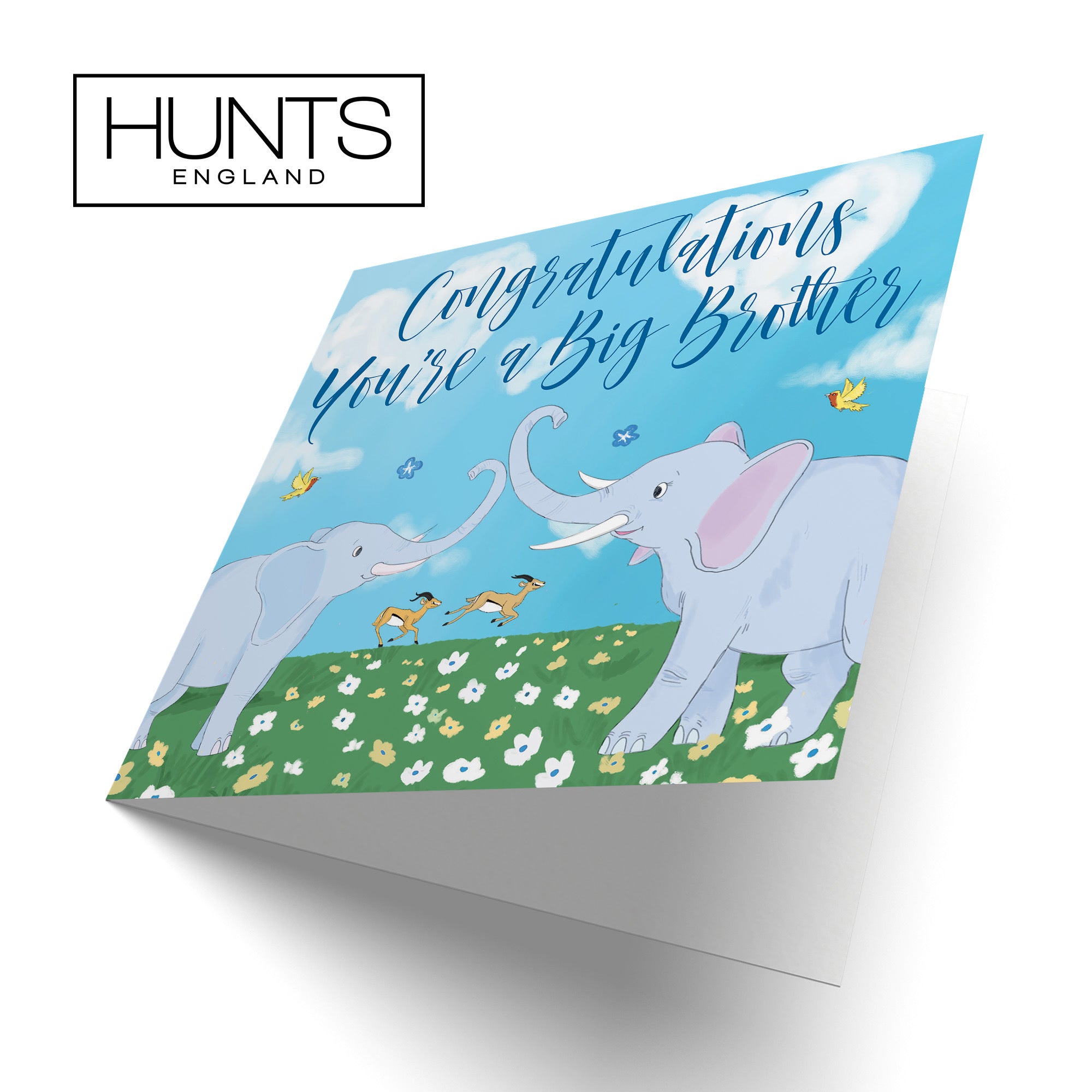You're A Big Brother Card Elephants Cute Animals - Default Title (TH03389)