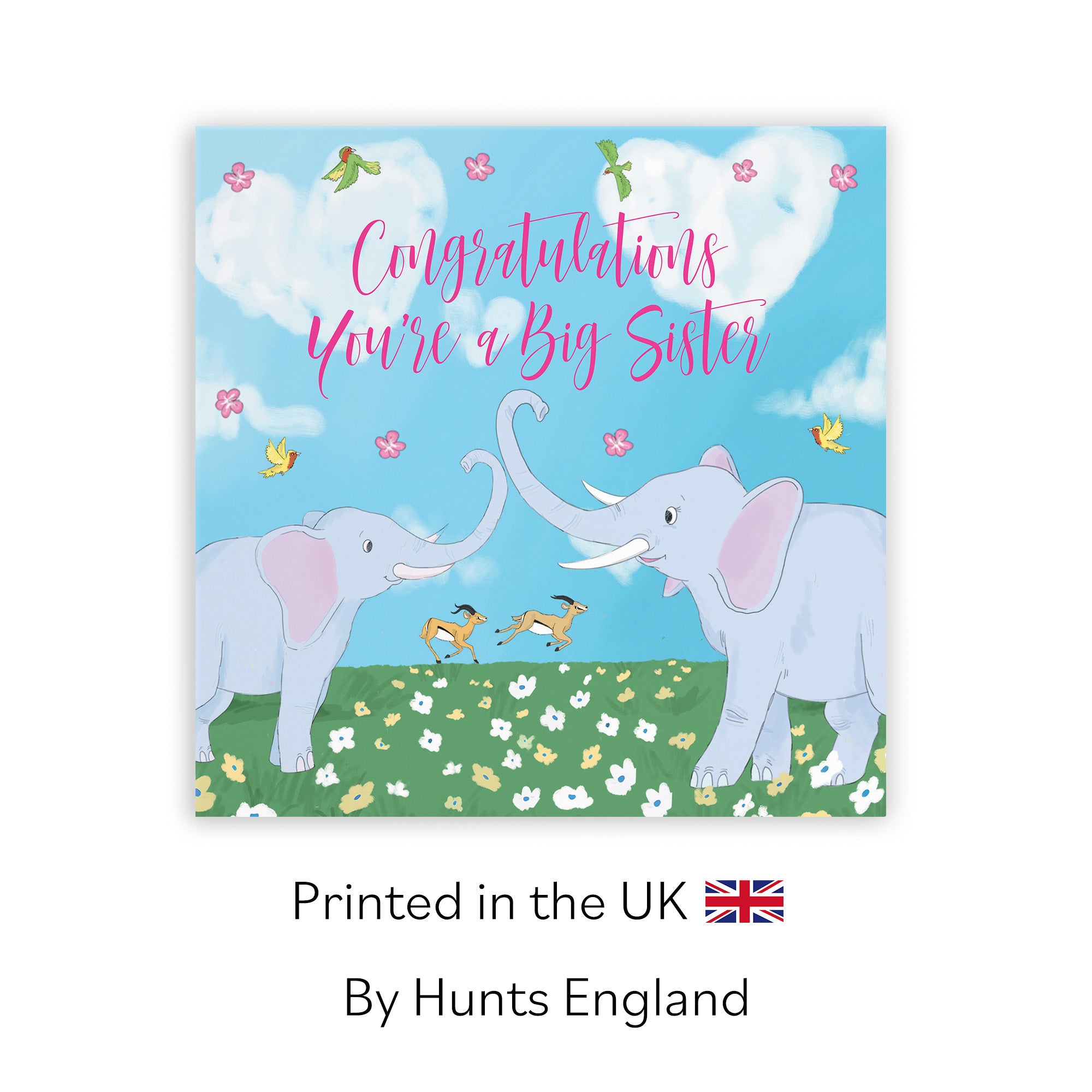 You're A Big Sister New Baby Card Elephants Cute Animals - Default Title (TH03394)