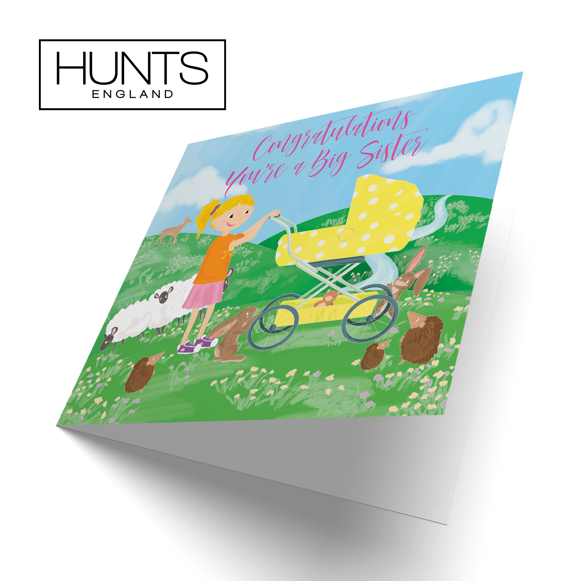 You're A Big Sister New Baby Card Yellow Pram Countryside - Default Title (TH03397)