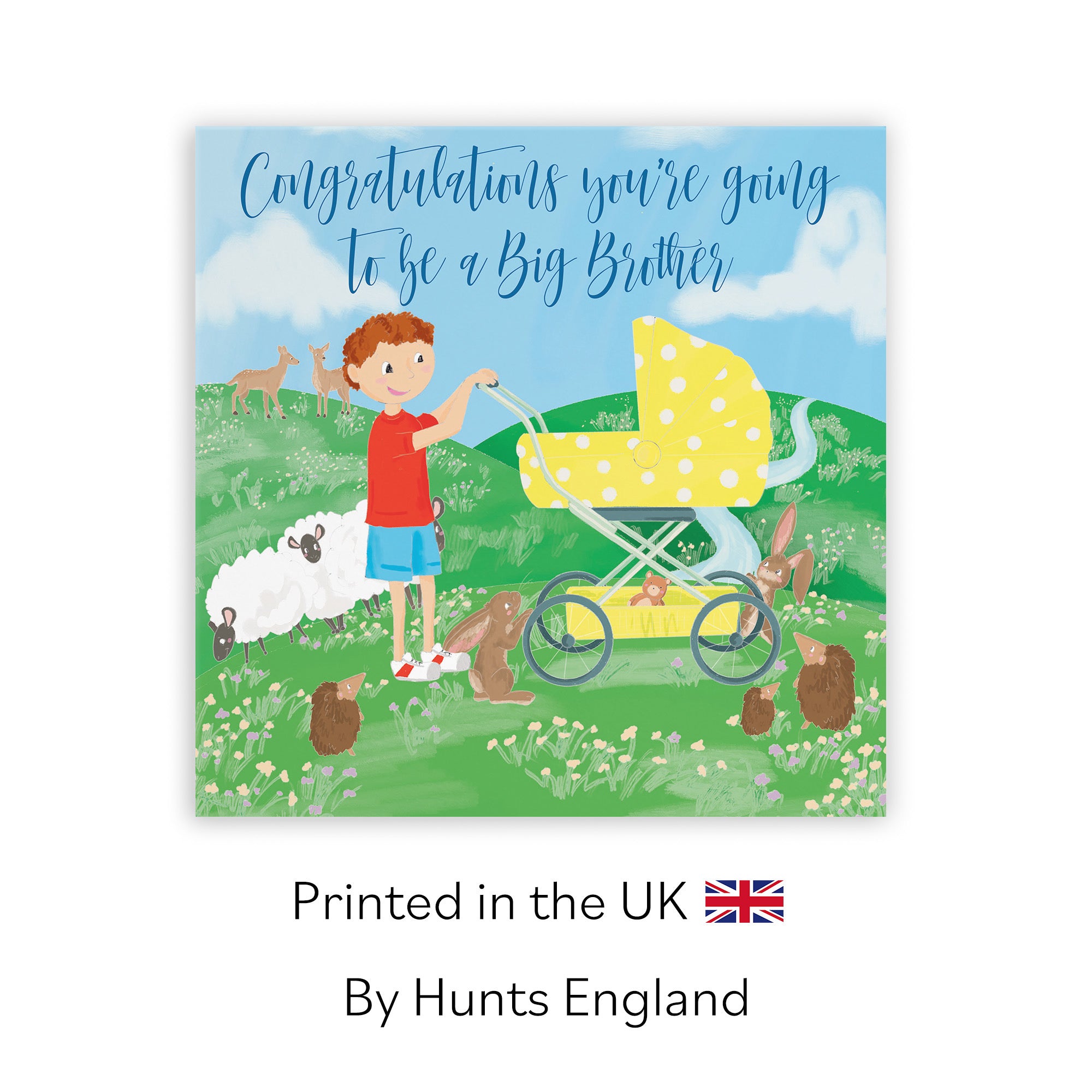 New Baby Big Brother Card Yellow Pram Countryside - Default Title (TH03398)