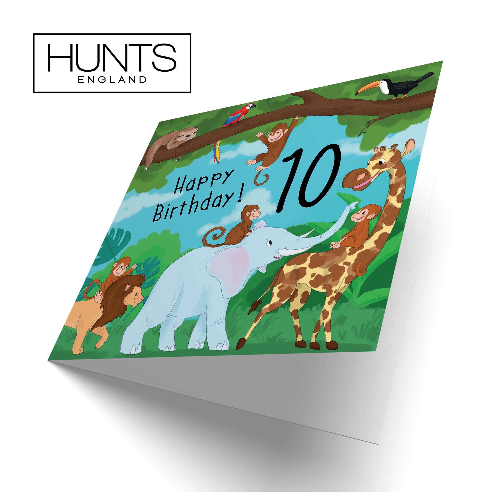10th Birthday Jungle Card Jungle - Default Title (TH03537)