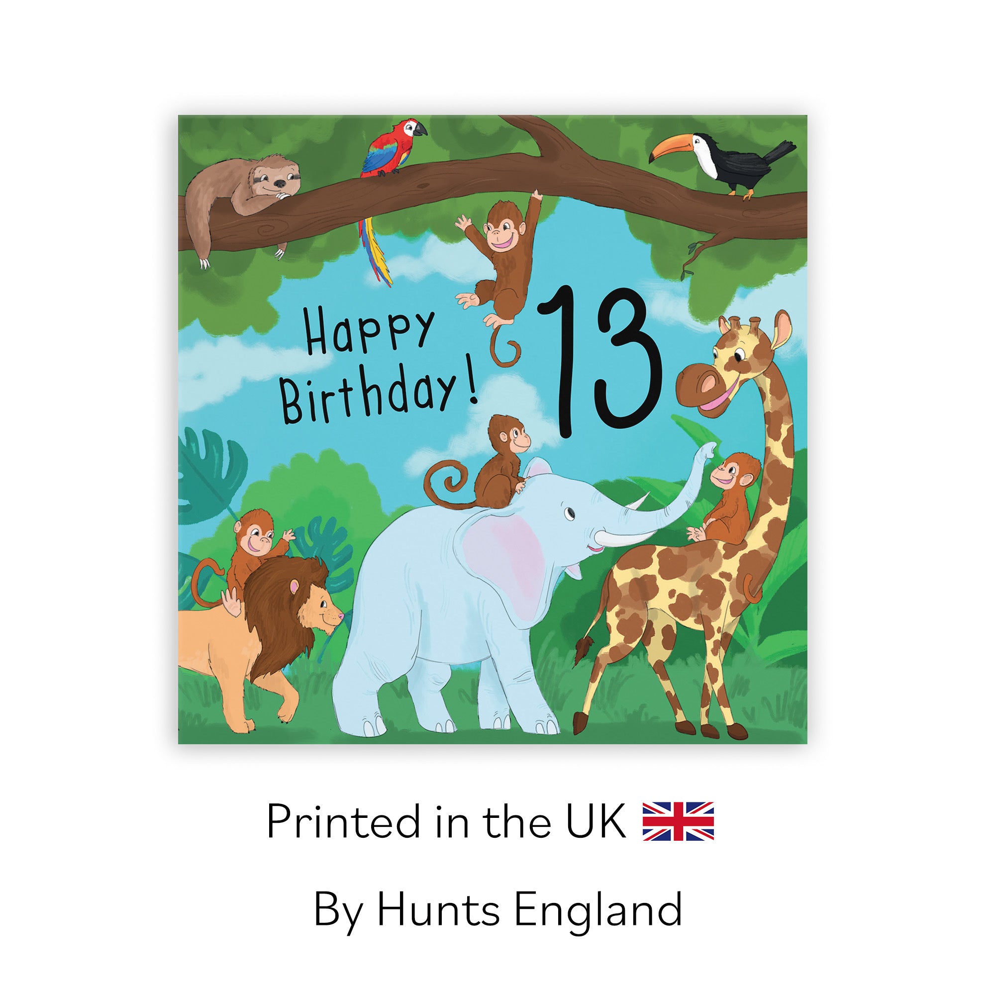 13th Birthday Jungle Card Jungle - Default Title (TH03538)