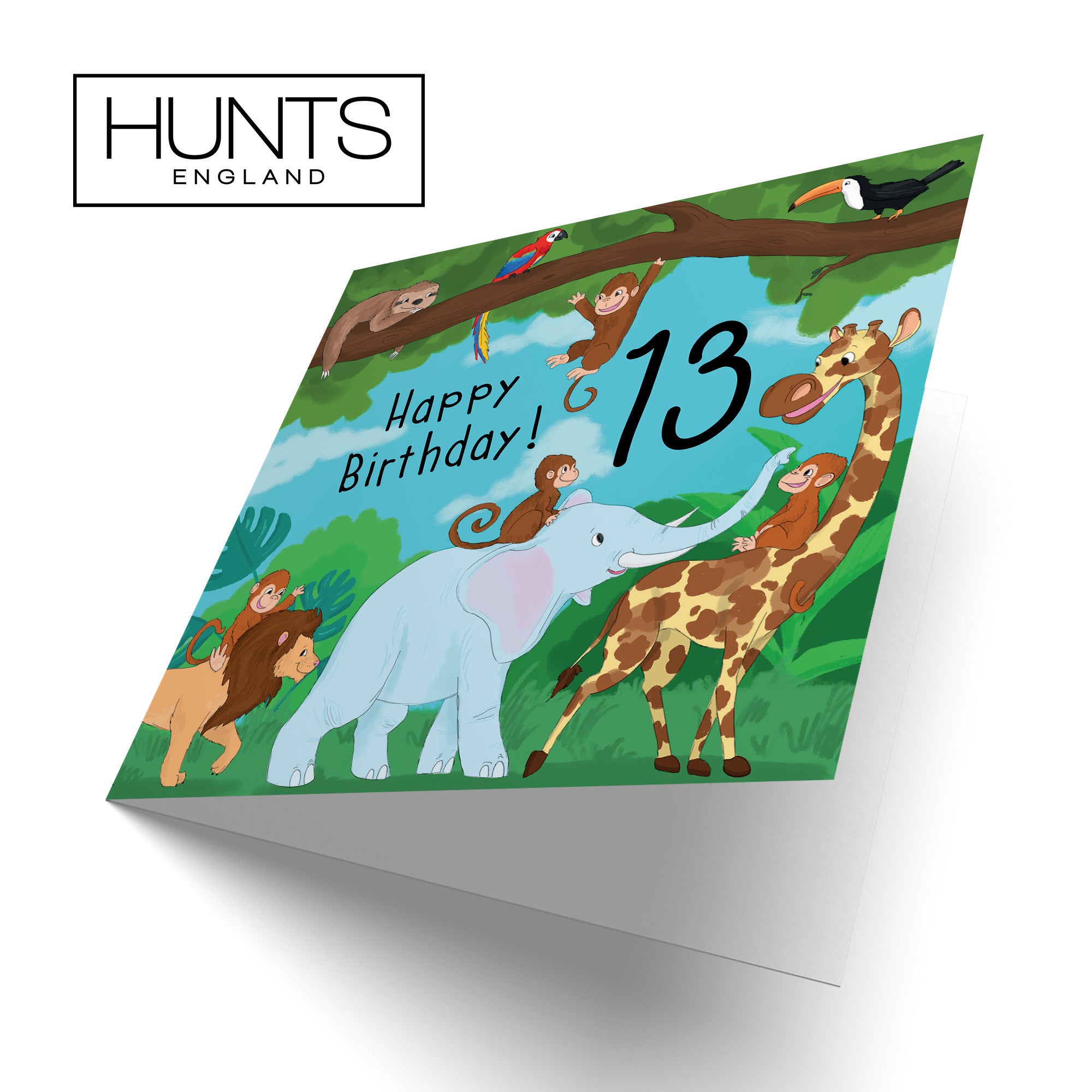 13th Birthday Jungle Card Jungle - Default Title (TH03538)