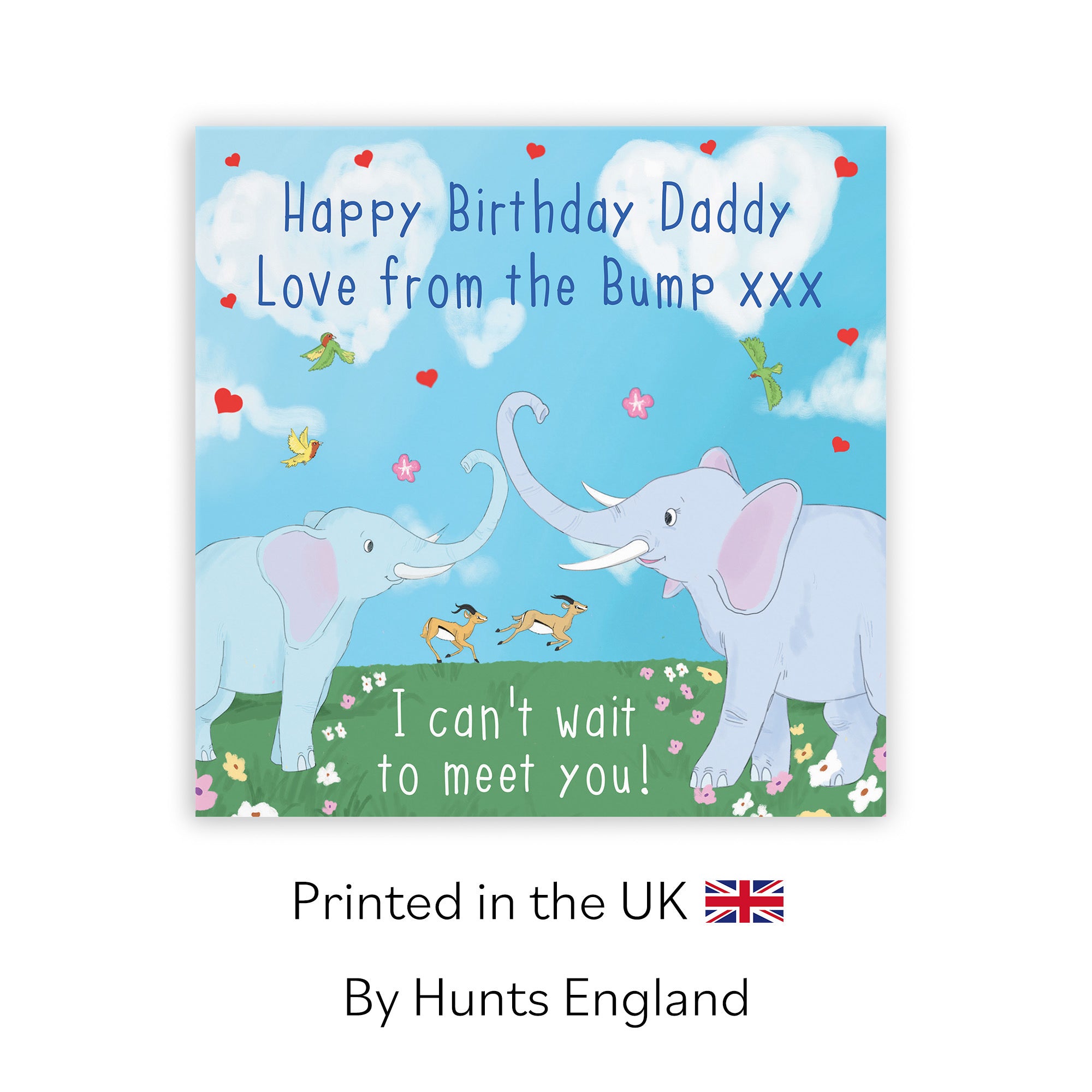 Daddy From The Bump Elephants Birthday Card Cute Animals - Default Title (TH03548)
