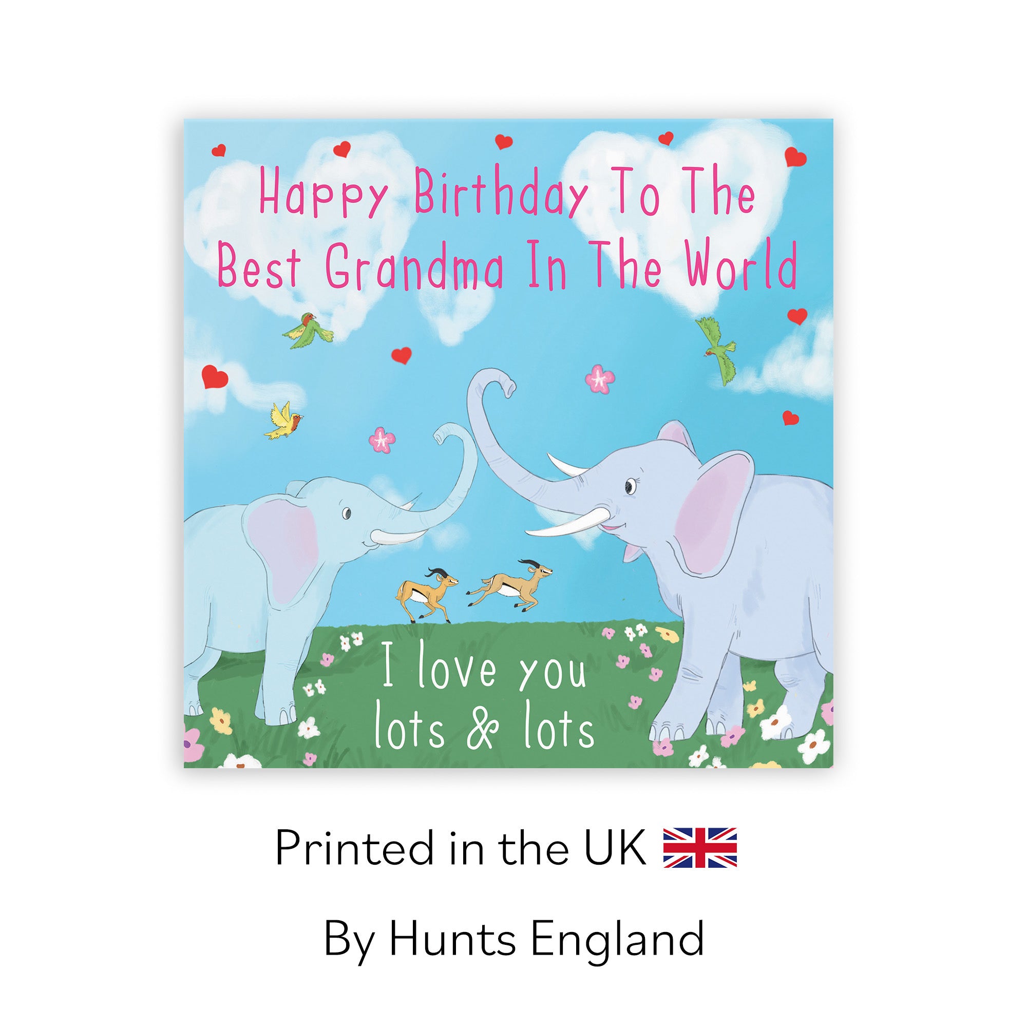 Grandma Elephants Birthday Card Cute Animals - Default Title (TH03551)