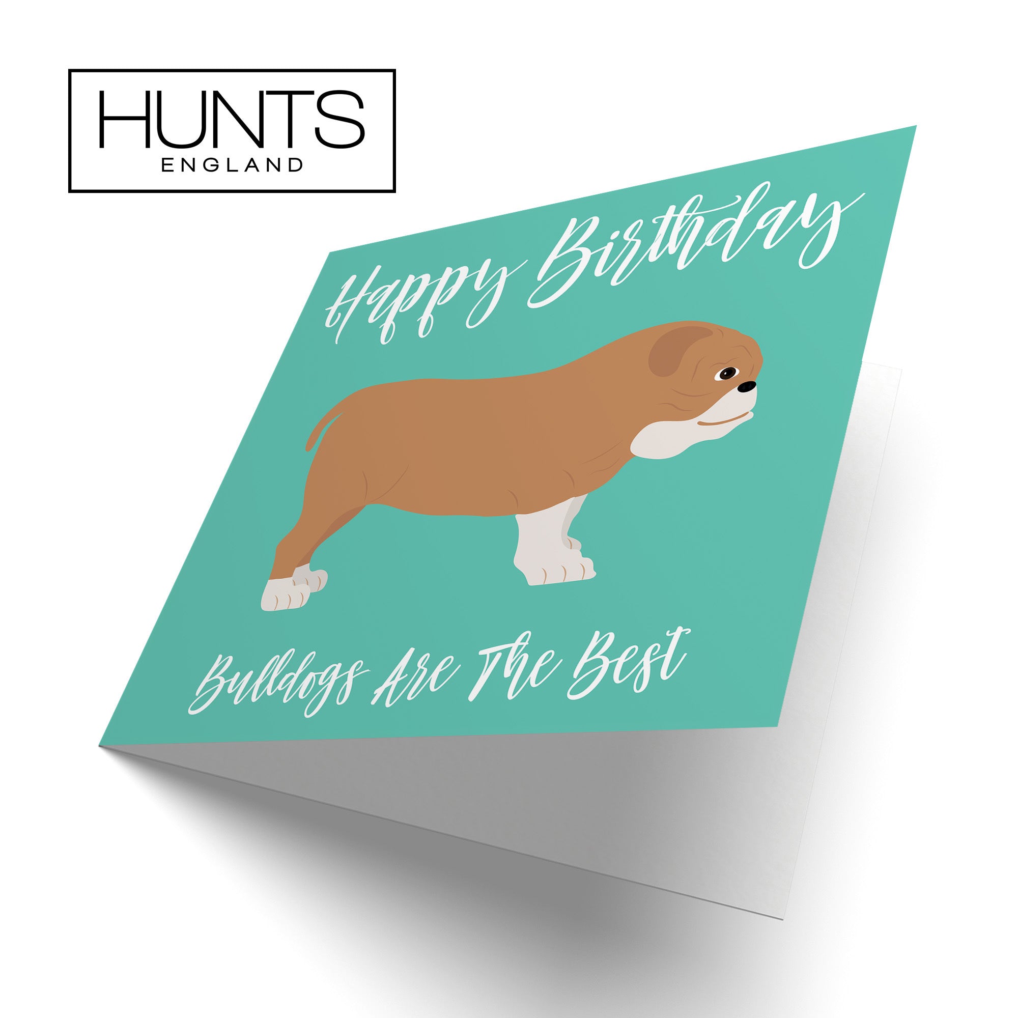 Bulldog Birthday Card Iconic - Default Title (TH03564)