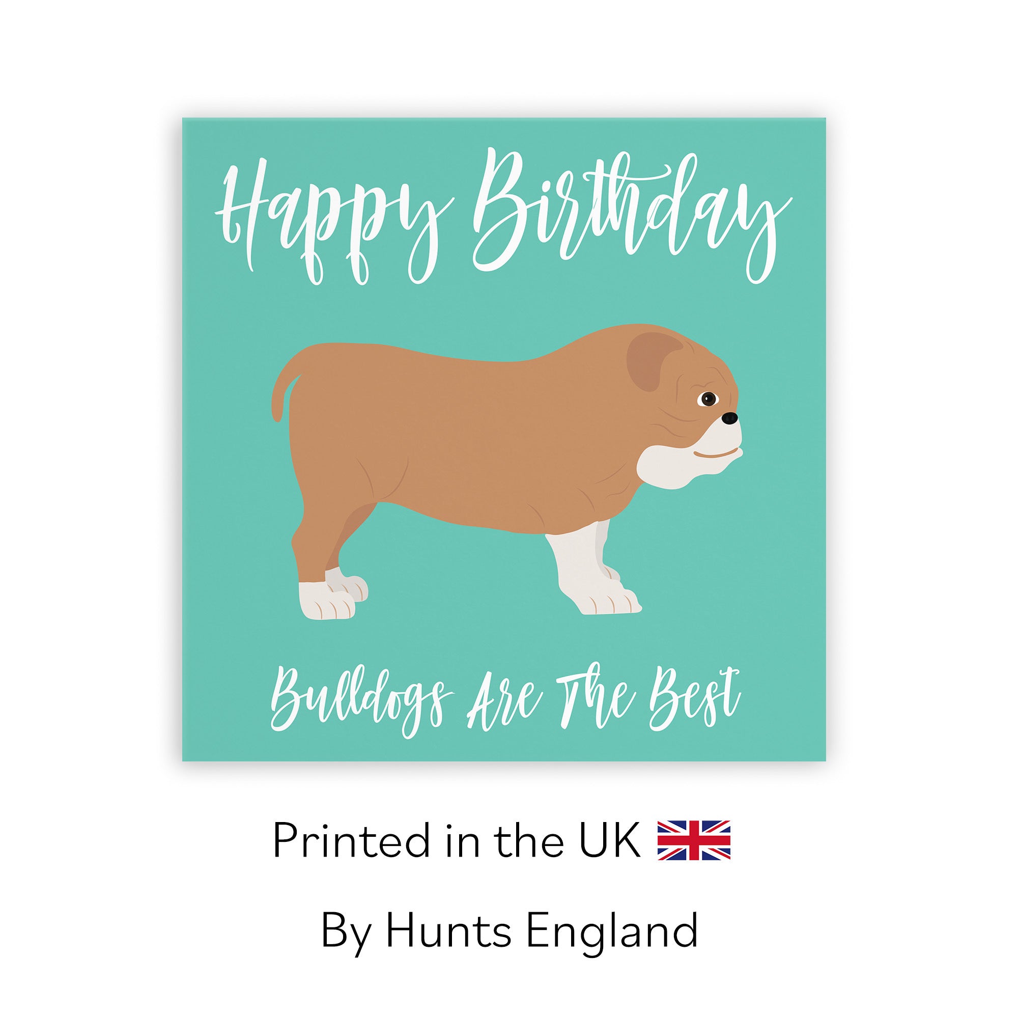 Bulldog Birthday Card Iconic - Default Title (TH03564)