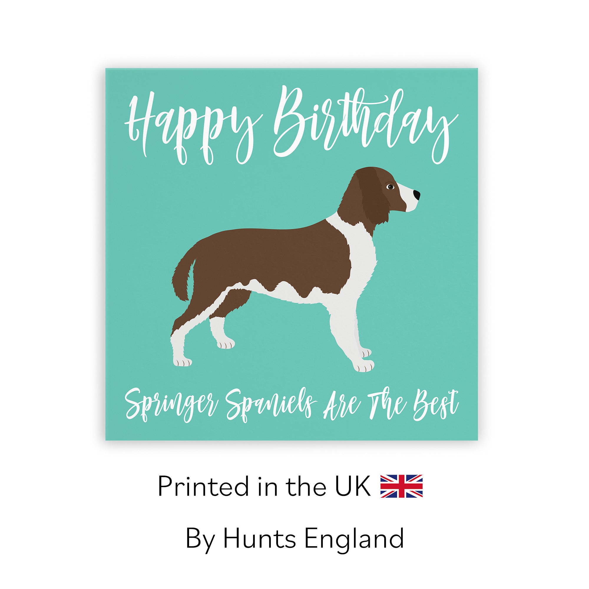 Springer Spaniel Dog Birthday Card Iconic - Default Title (TH03566)