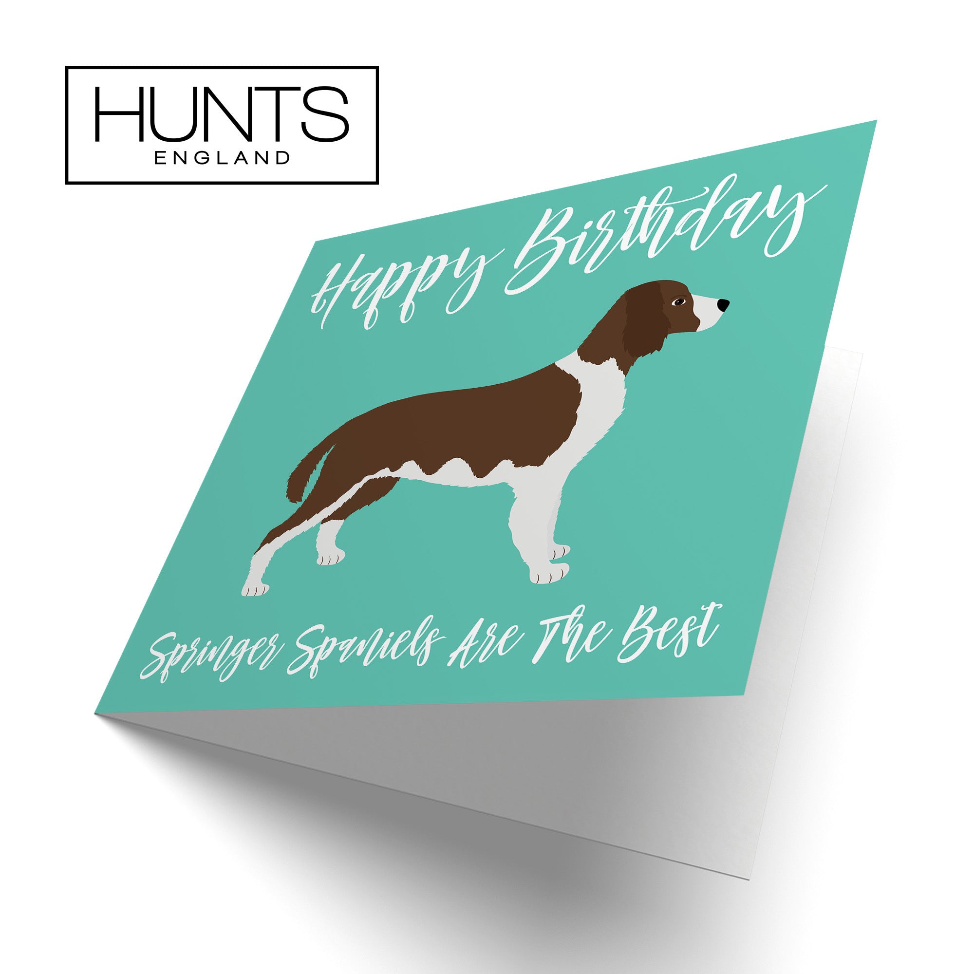 Springer Spaniel Dog Birthday Card Iconic - Default Title (TH03566)