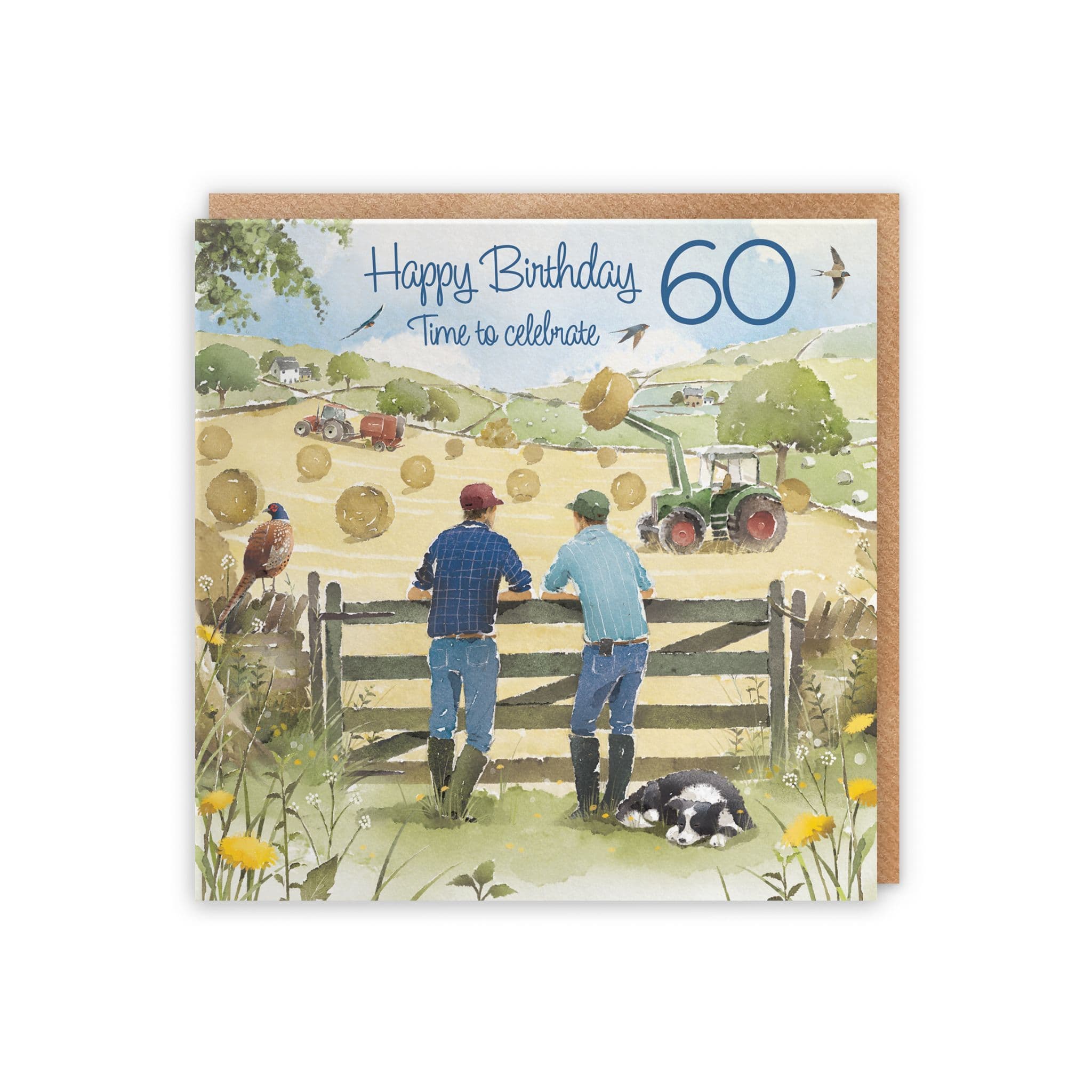 60th Birthday Card Haymaking Milo's Gallery