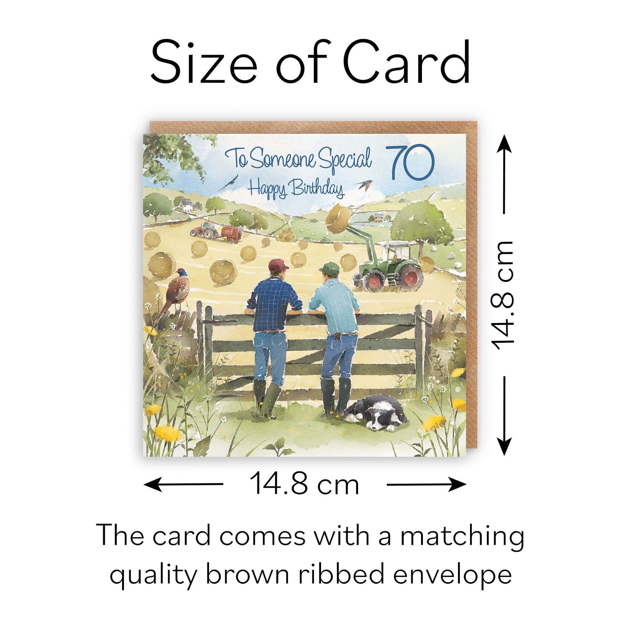 70th Someone Special Birthday Card Haymaking Milo's Gallery