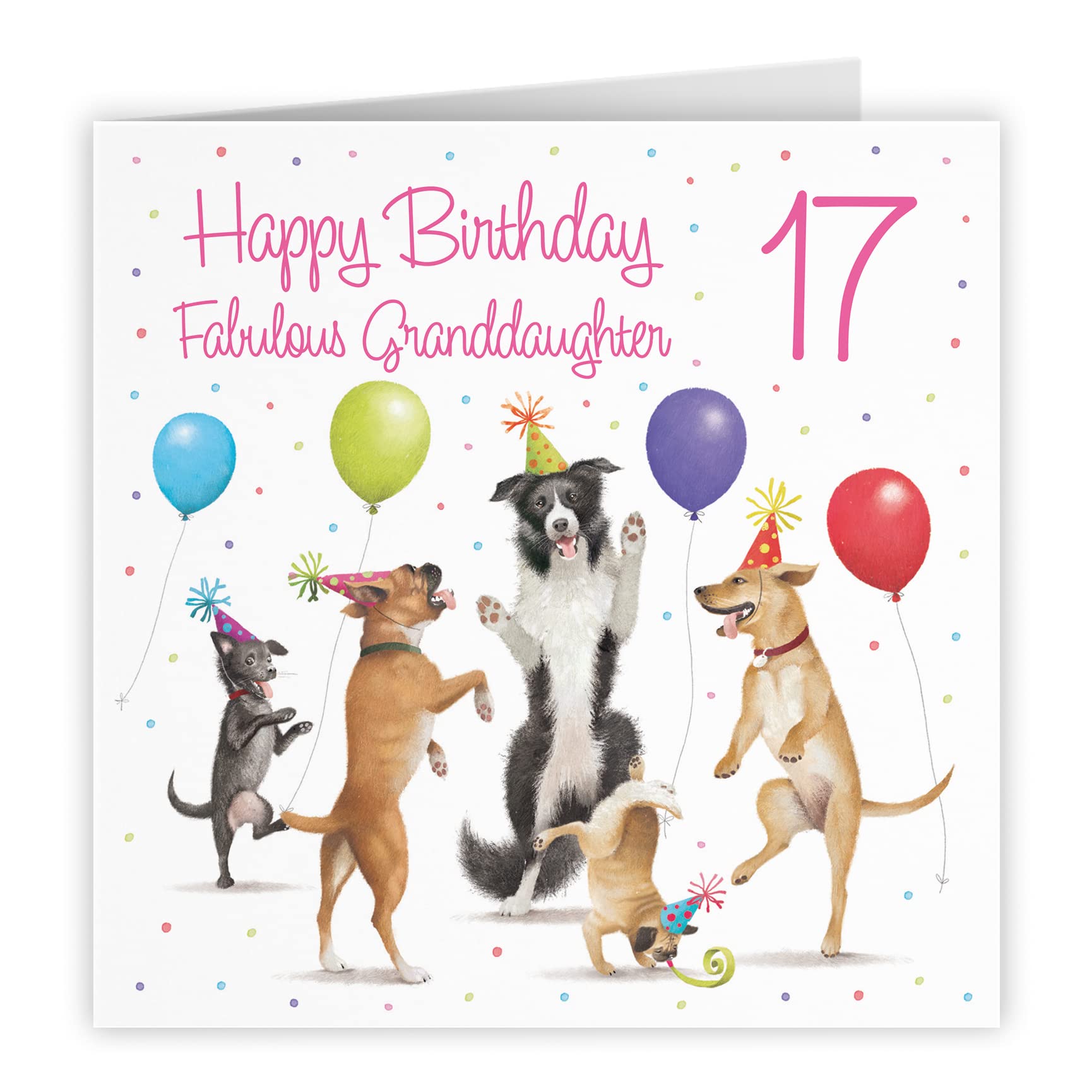 17th Granddaughter Birthday Card Dancing Dogs Milo's Gallery