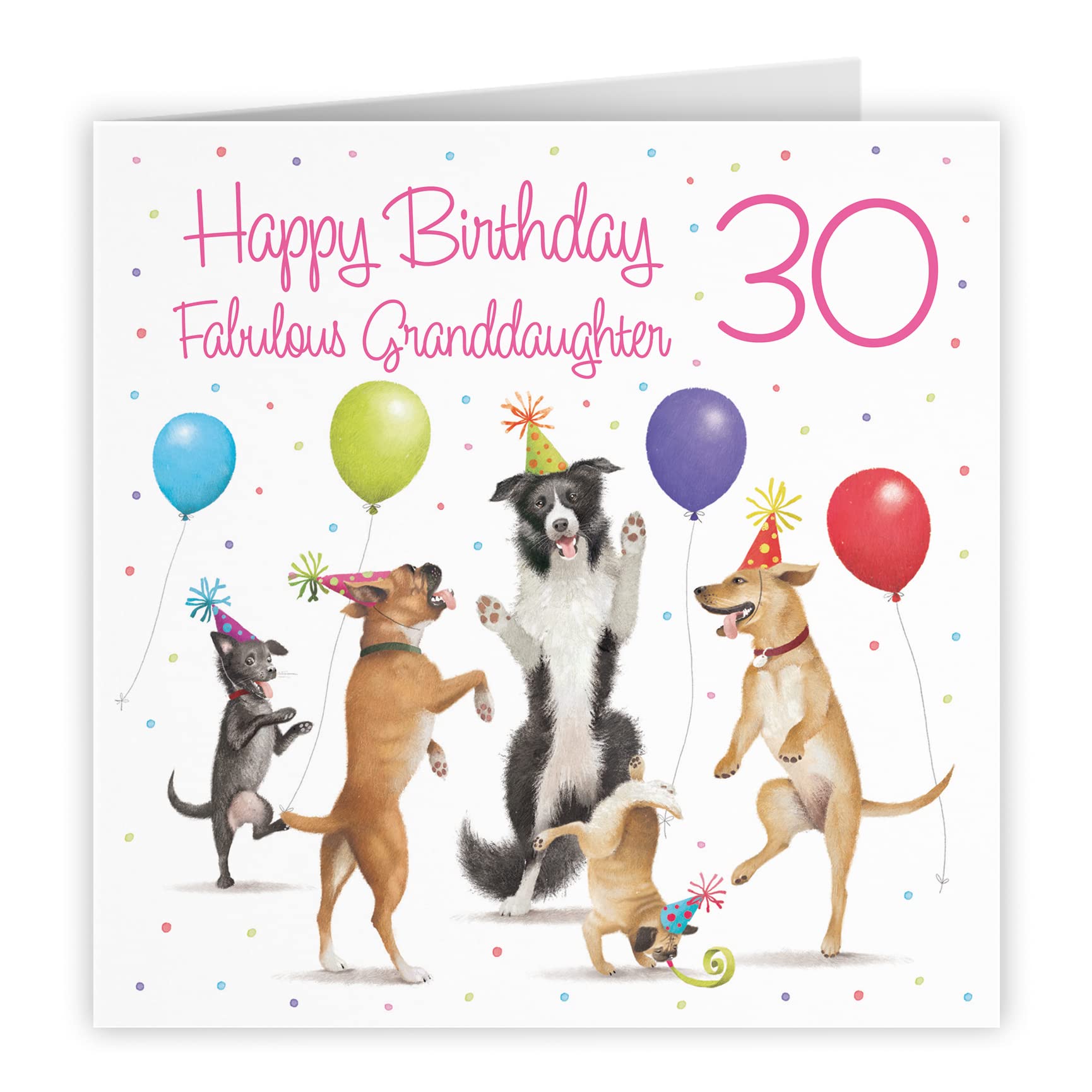 30th Granddaughter Birthday Card Dancing Dogs Milo's Gallery