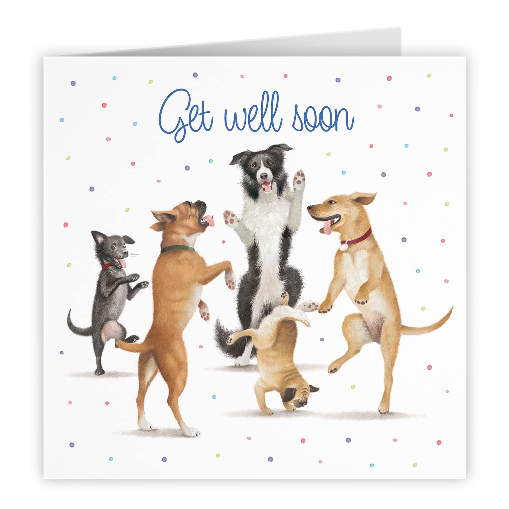 Get Well Soon Card Dancing Dogs Milo's Gallery