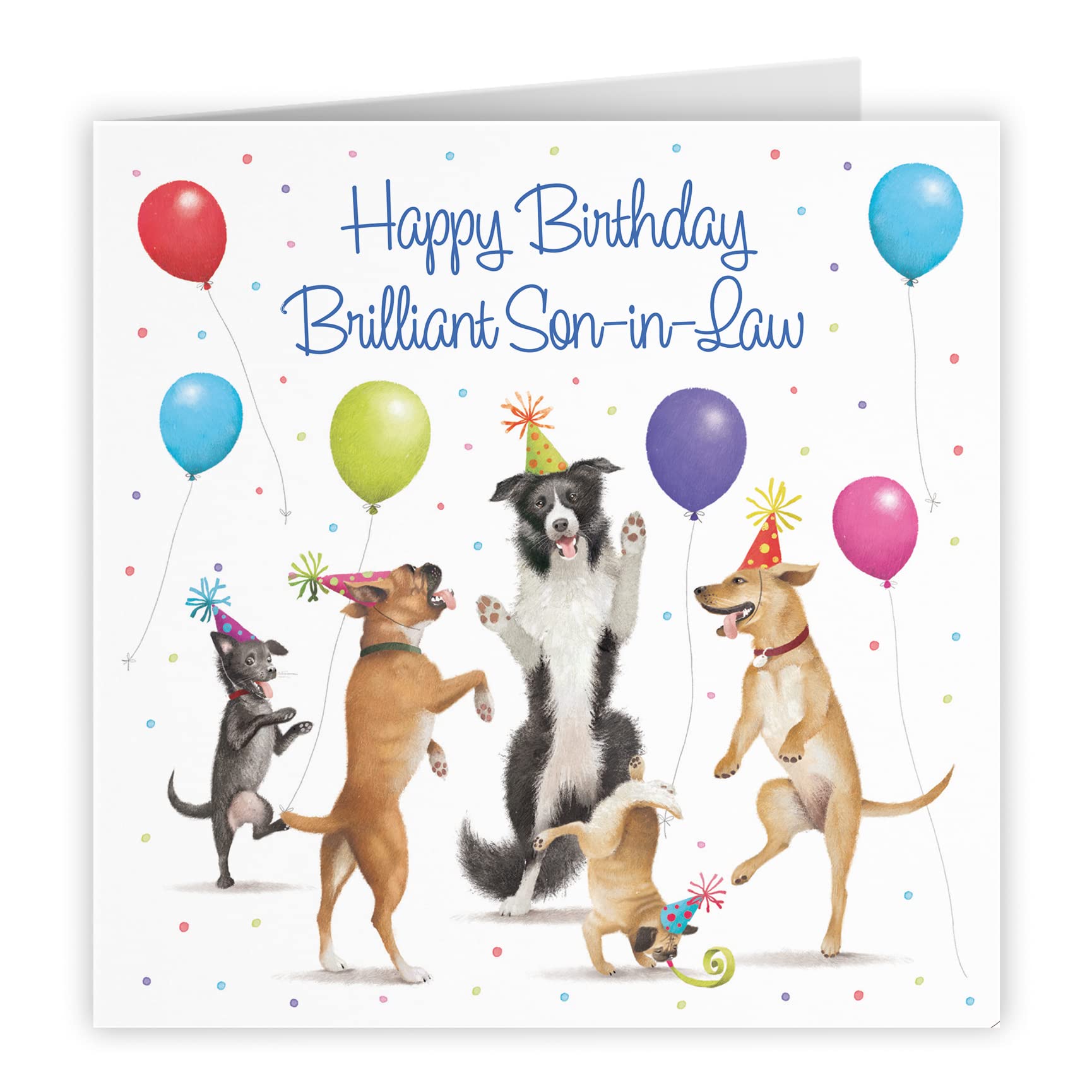 Son-in-Law Birthday Card Dancing Dogs Milo's Gallery