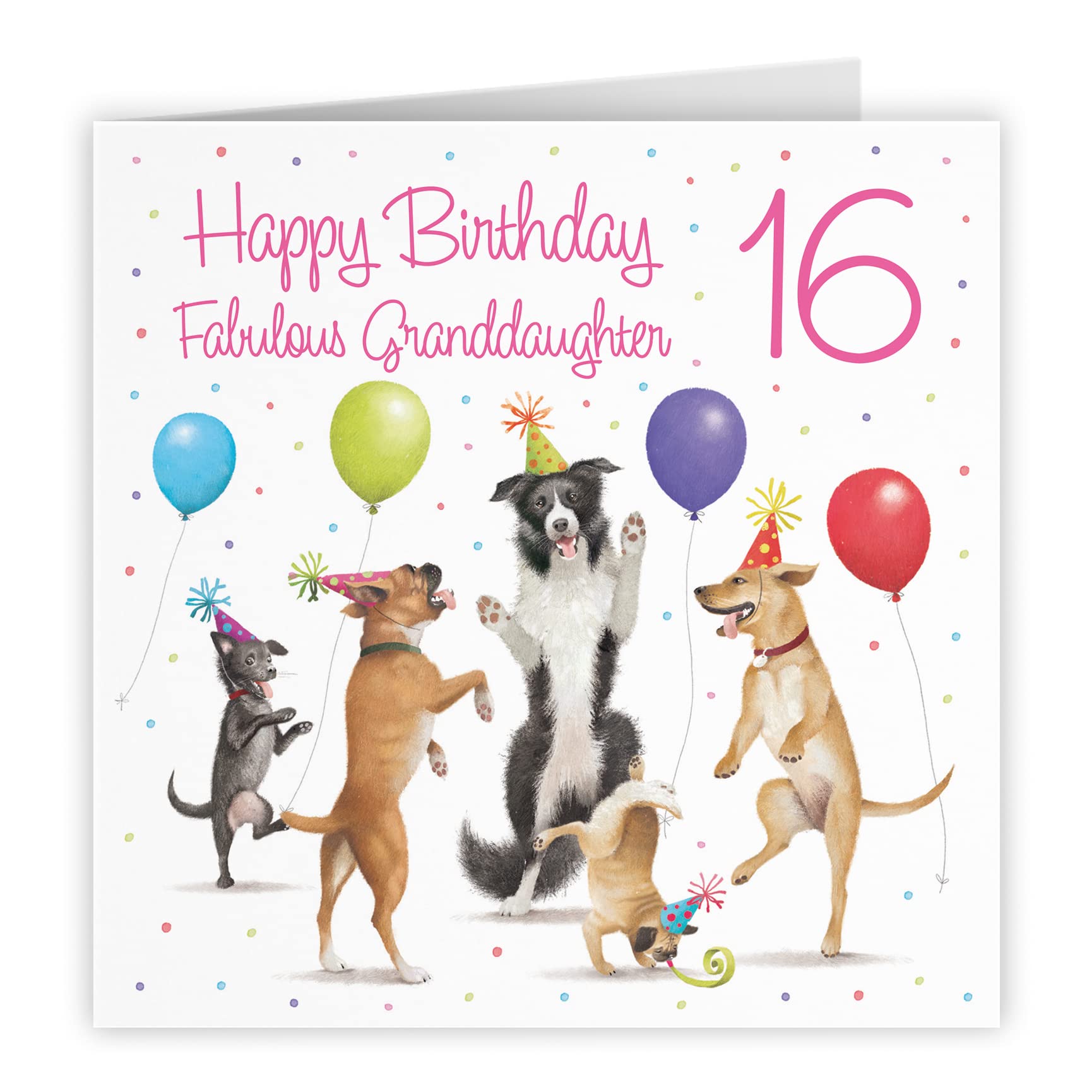 16th Granddaughter Birthday Card Dancing Dogs Milo's Gallery