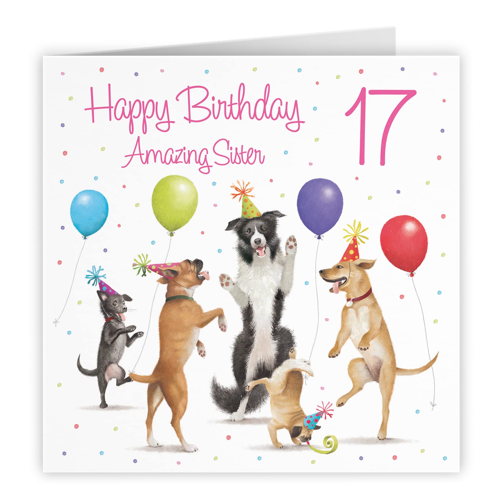 17th Sister Birthday Card Dancing Dogs Milo's Gallery