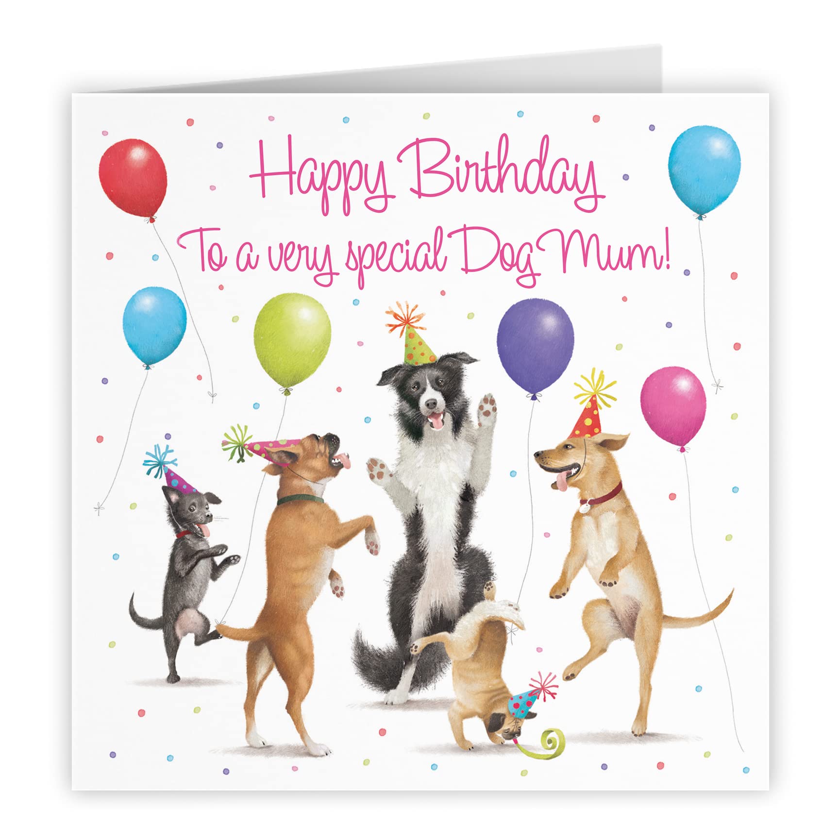 Womens Luxury Birthday Card From The Dog Milo's Gallery