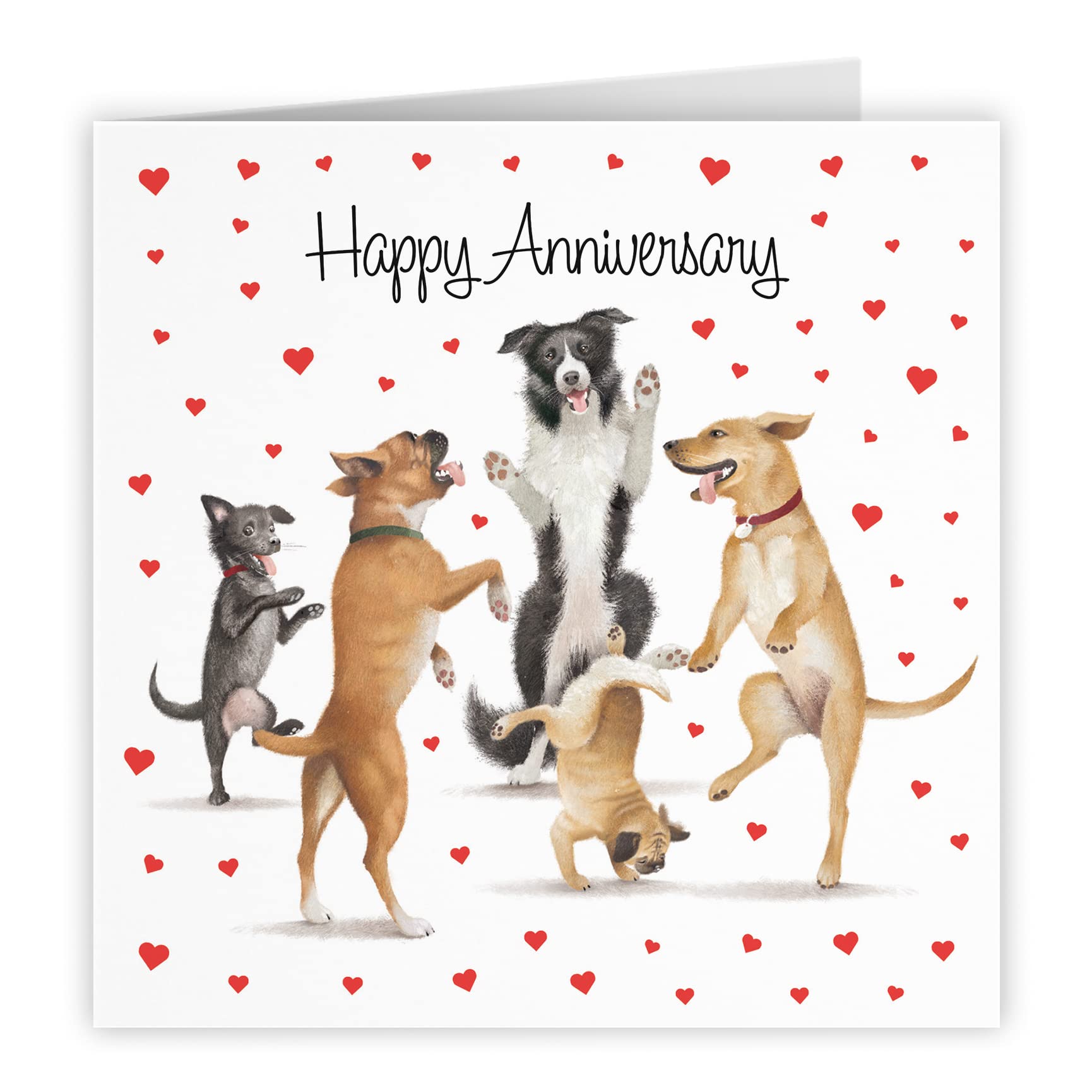 Dancing Dogs Anniversary Card Milo's Gallery