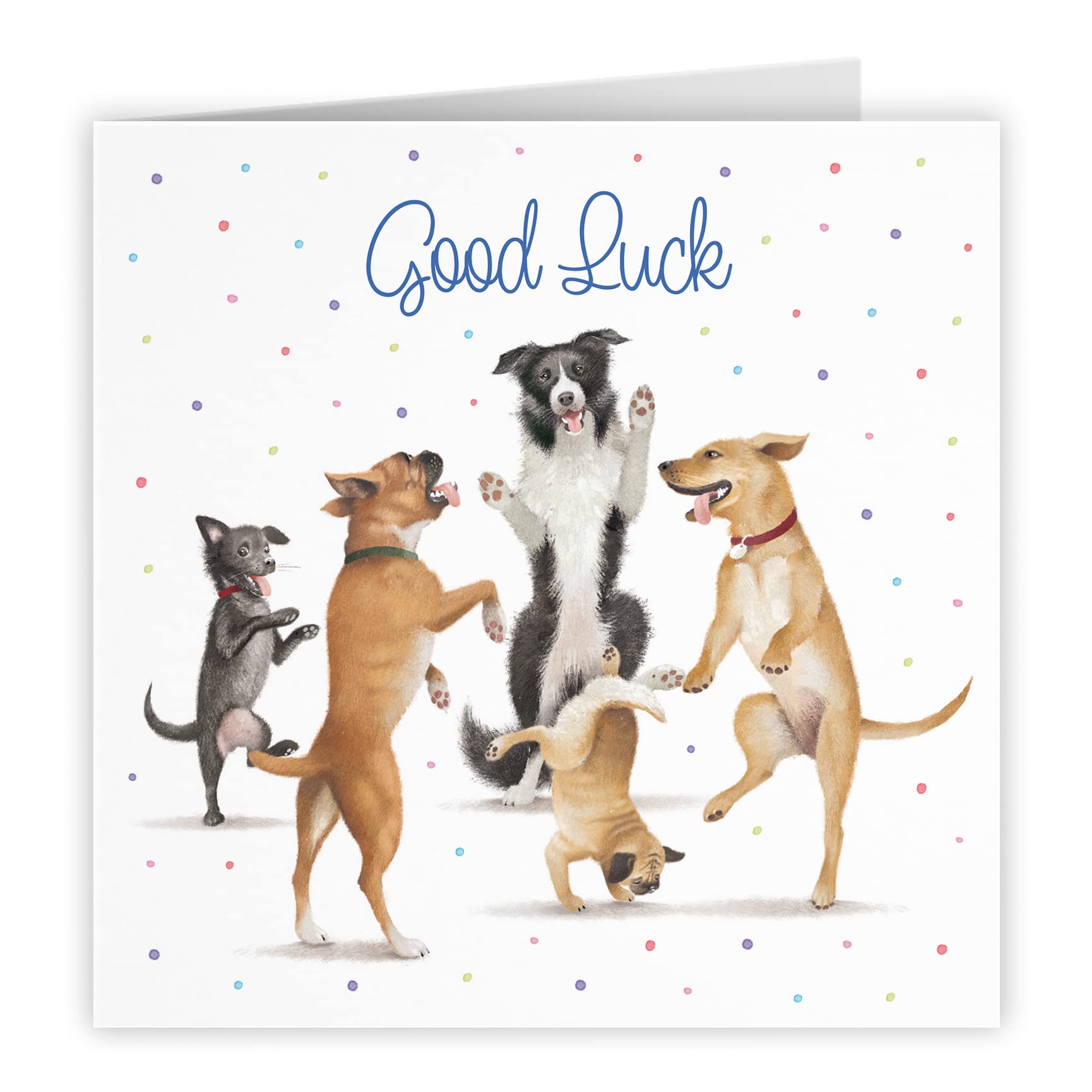 Good Luck Card Dancing Dogs Milo's Gallery