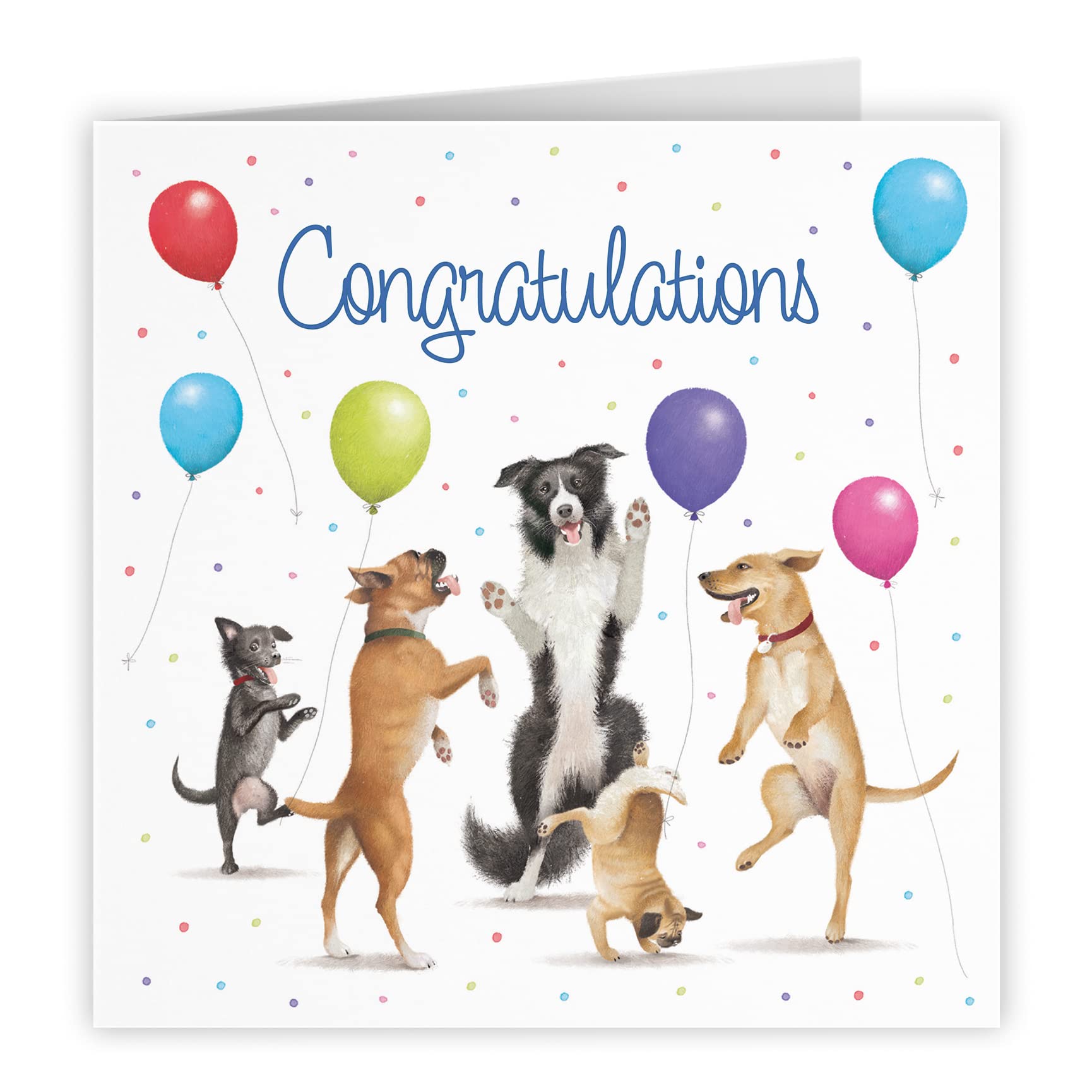 Congratulations Card Dancing Dogs Milo's Gallery