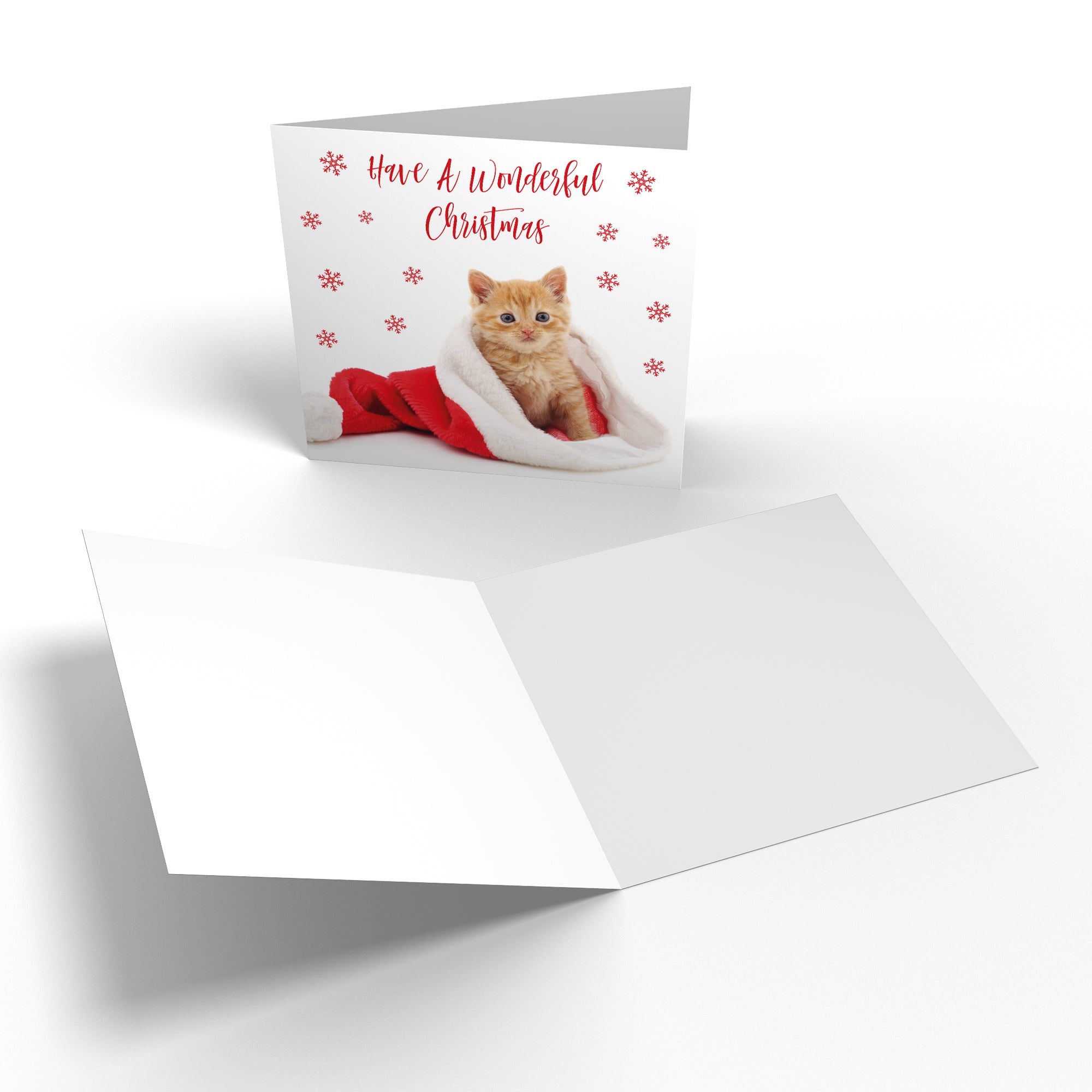 Family Mixed Pack Of 10 Christmas Cards And Envelopes