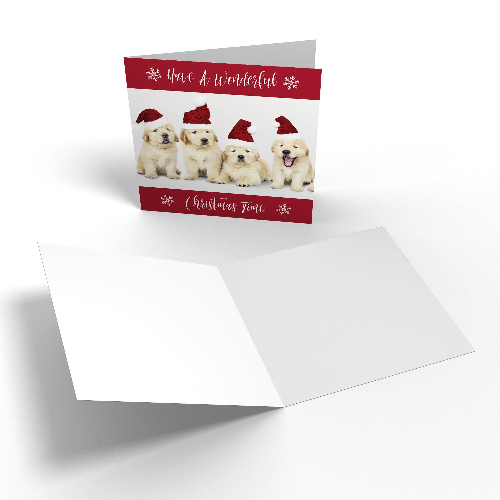 Family Mixed Pack Of 10 Christmas Cards And Envelopes