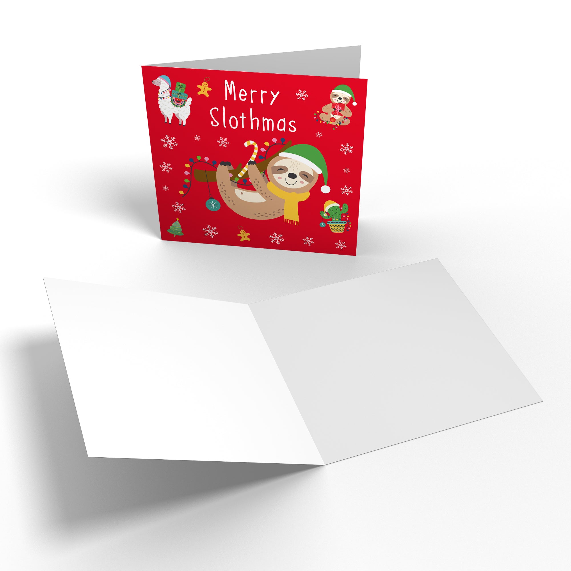 Family Mixed Pack Of 10 Christmas Cards And Envelopes