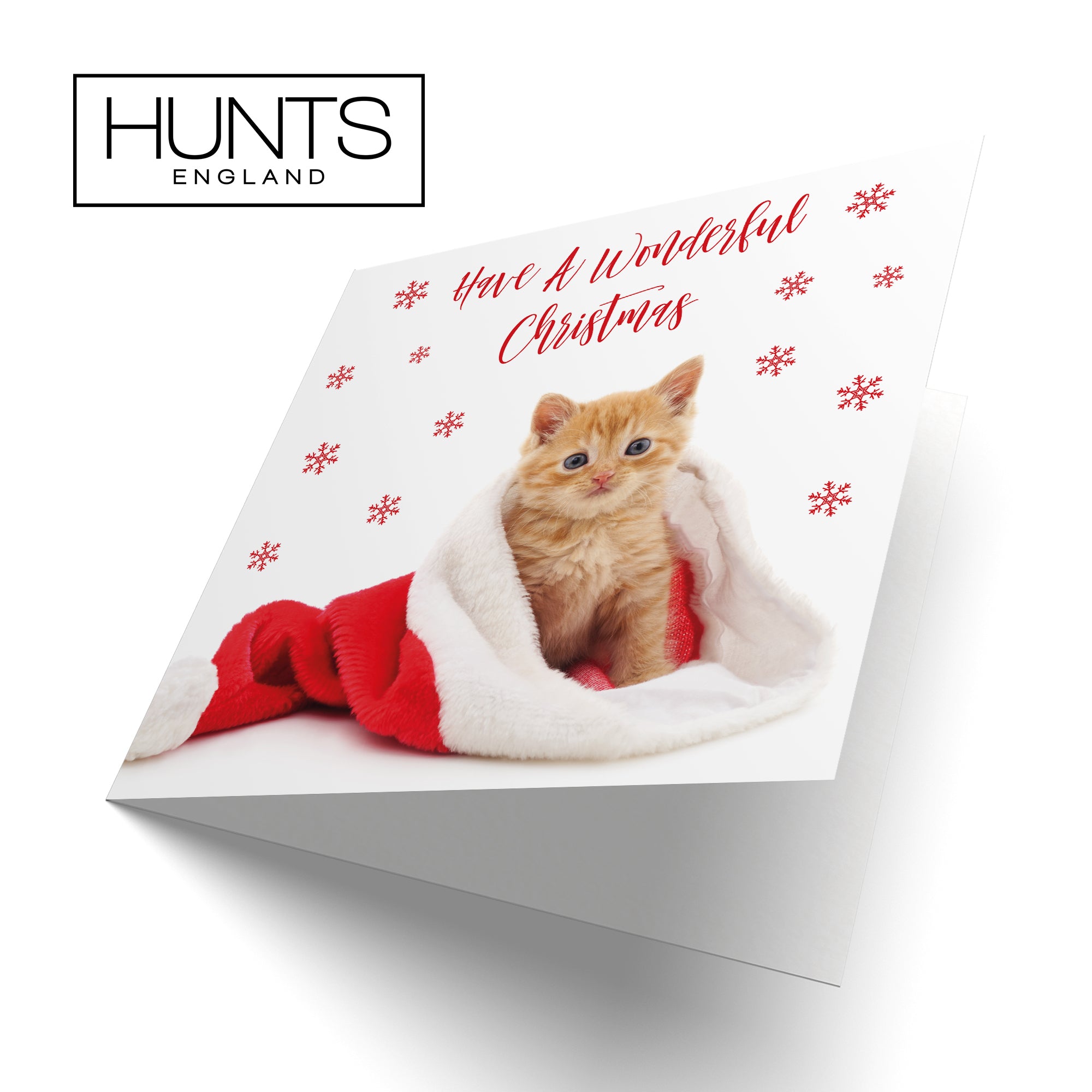 Kitten Pack Of 10 Christmas Cards And Envelopes