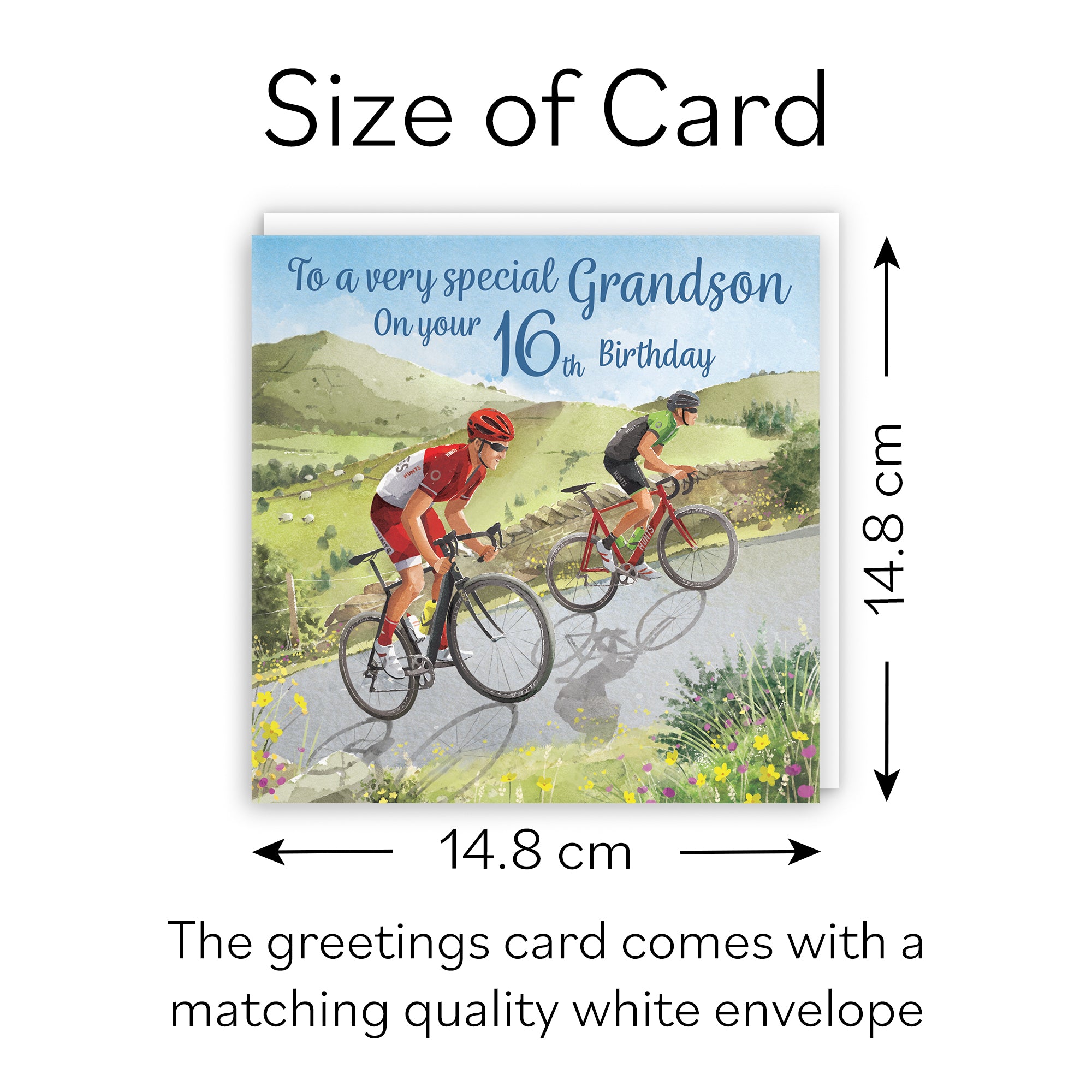 16th Grandson Birthday Card Road Cycling Milo's Gallery