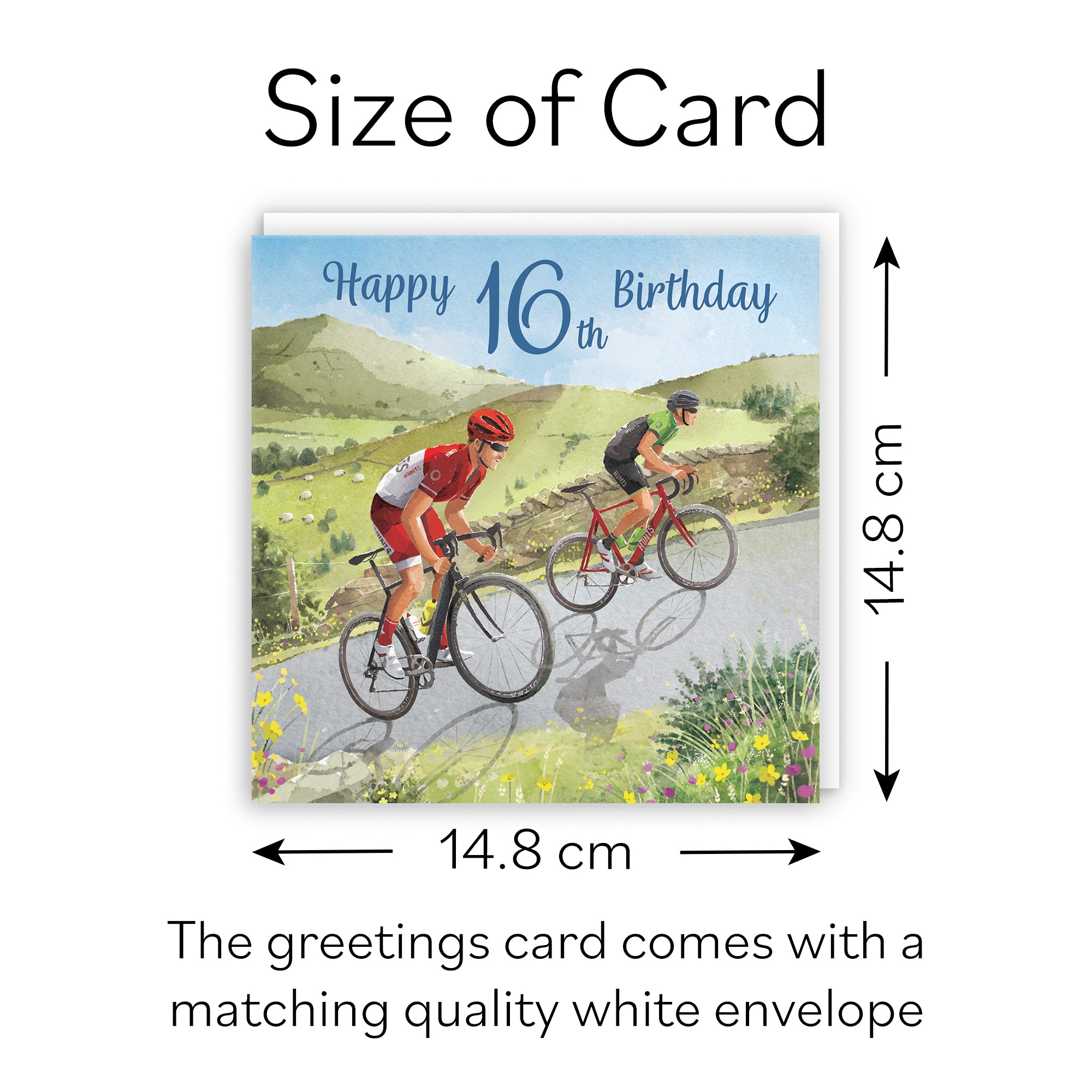 16th Birthday Card Road Cycling Milo's Gallery