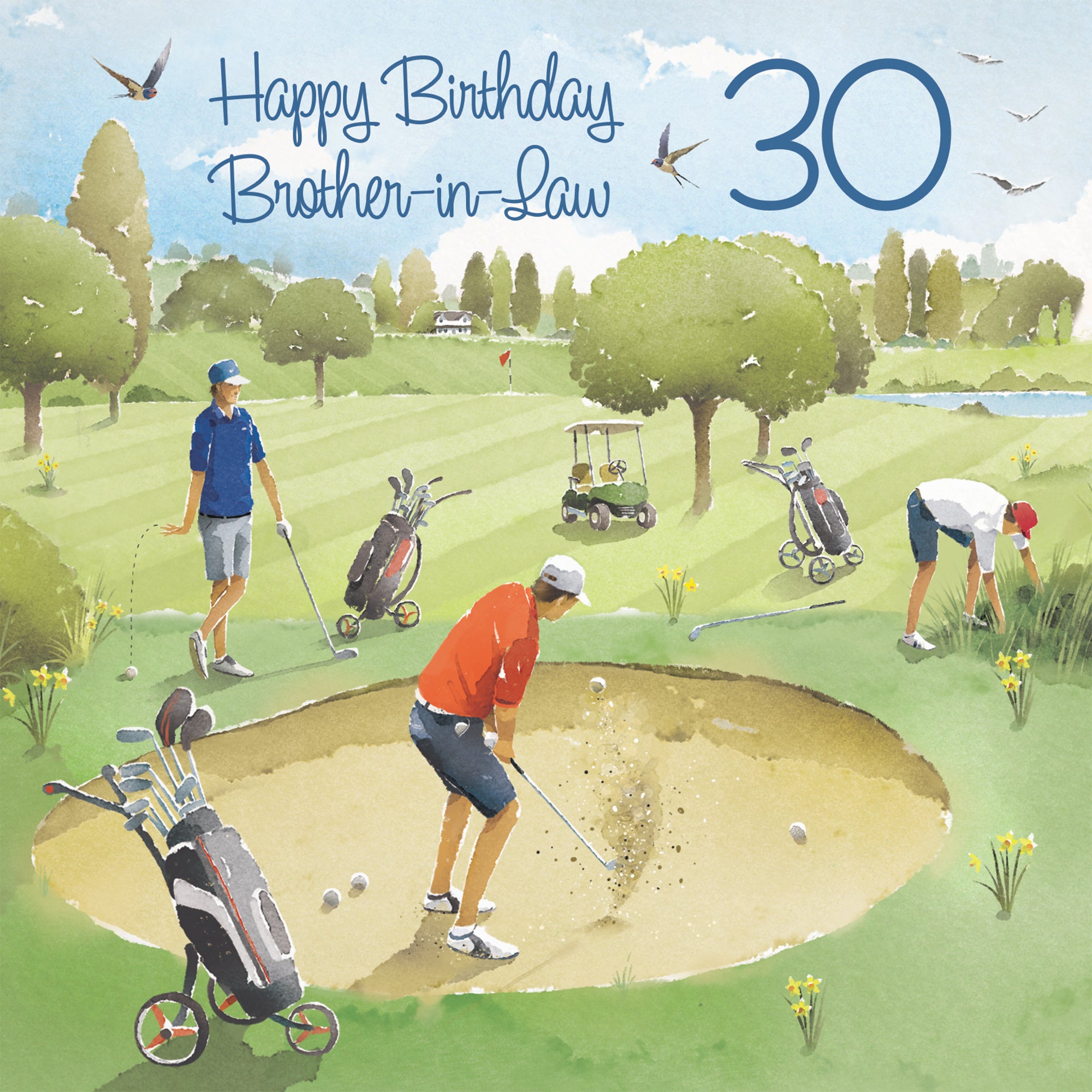 30th Brother-in-Law Golfing Birthday Card Golf Bunker Milo's Gallery