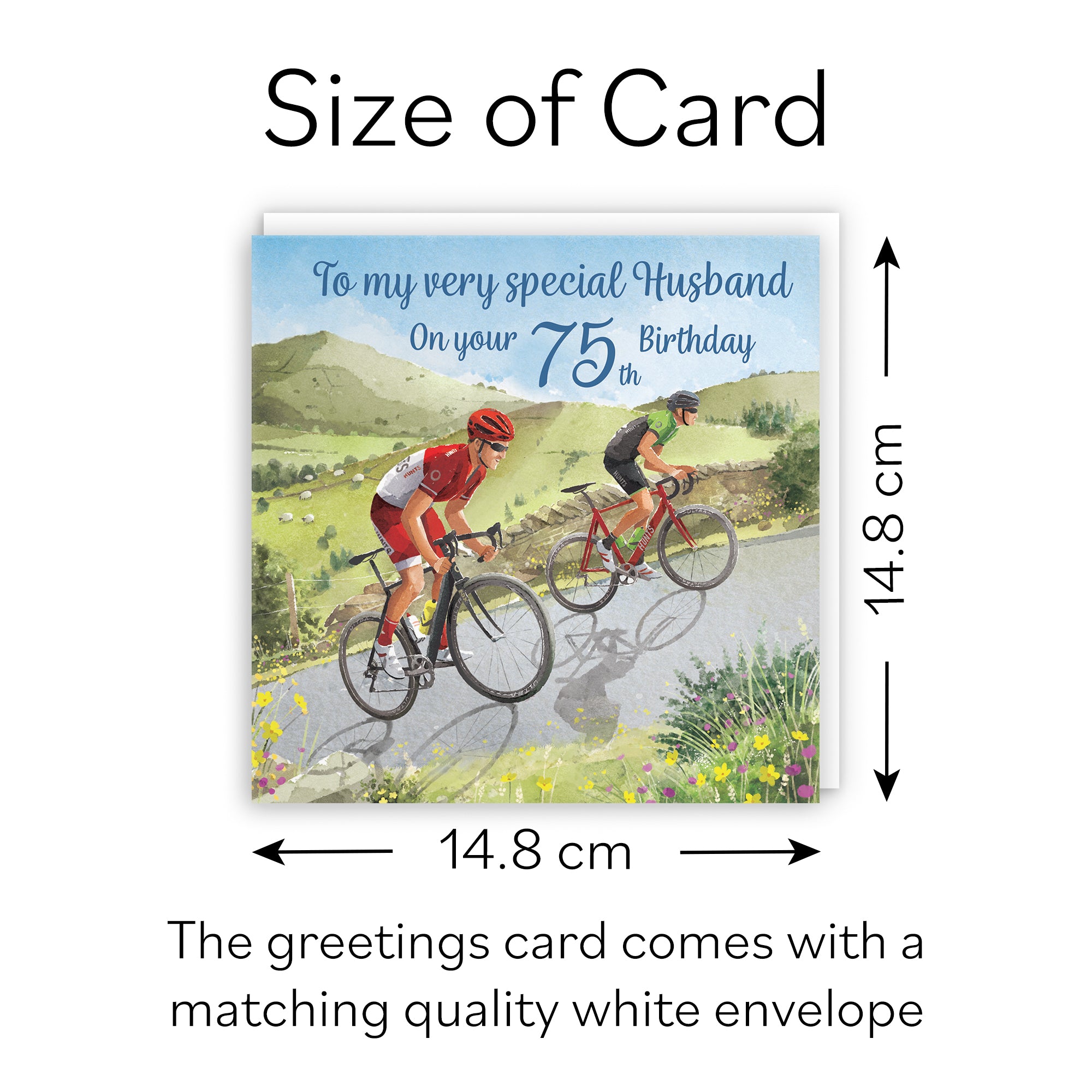 75th Husband Birthday Card Road Cycling Milo's Gallery