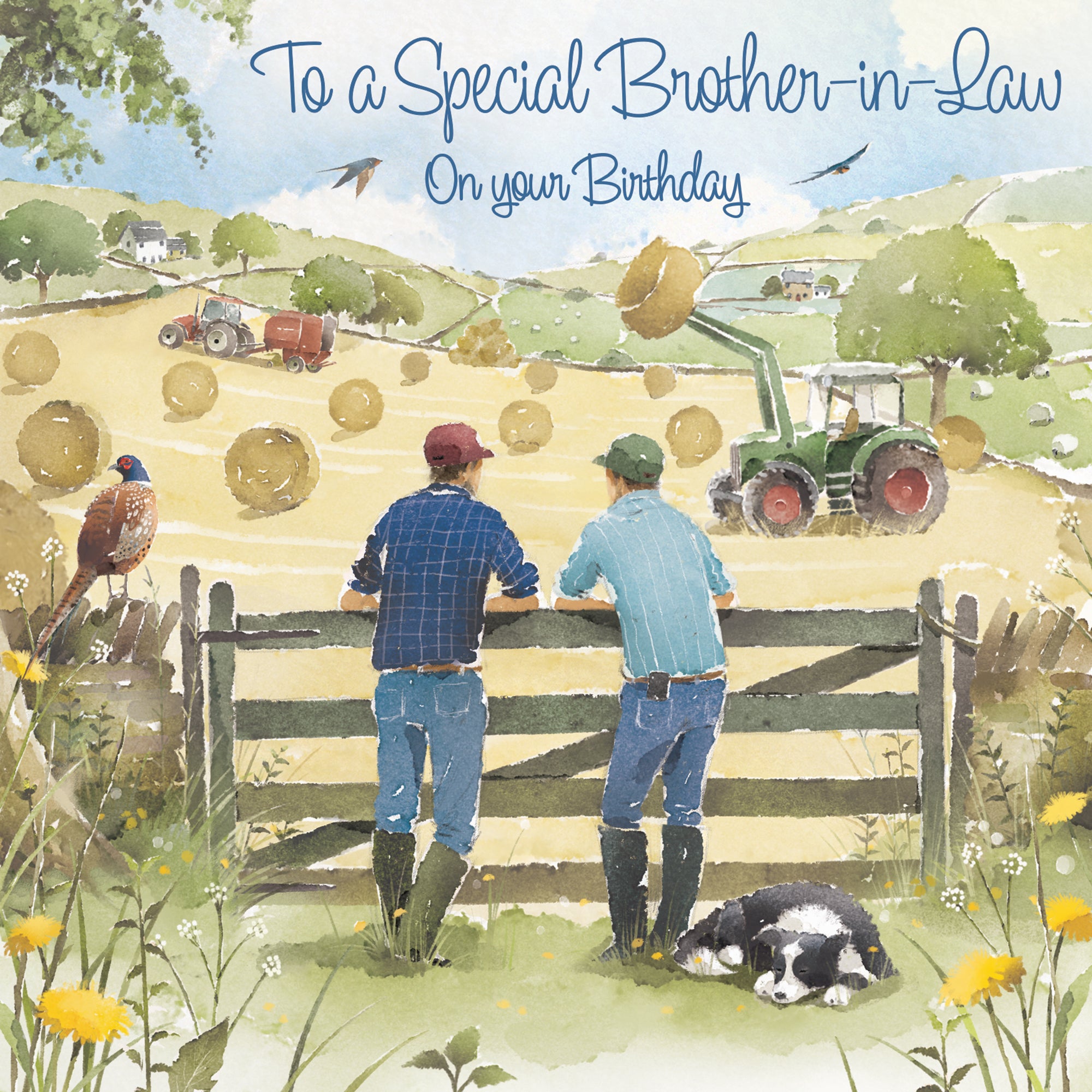 Brother-in-Law Birthday Card Haymaking Milo's Gallery