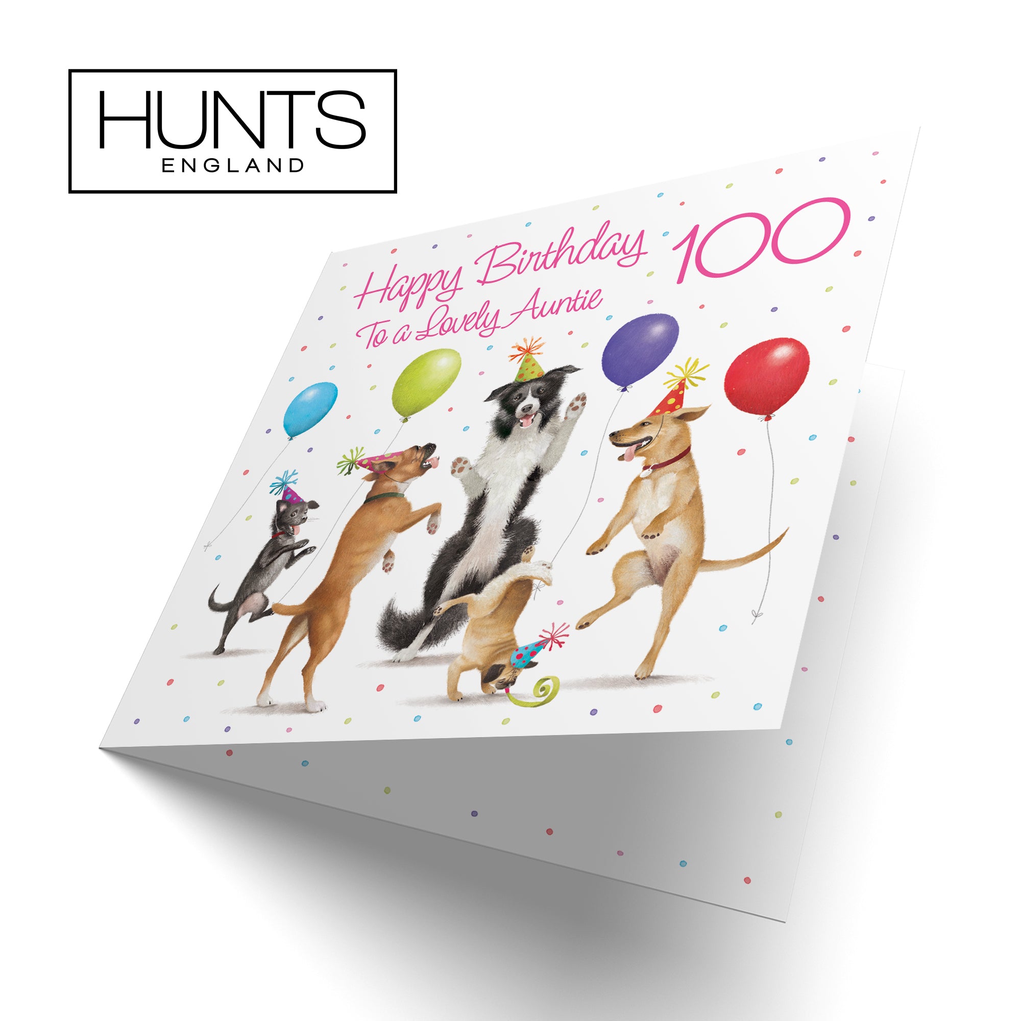 100th Auntie Birthday Card Dancing Dogs Milo's Gallery