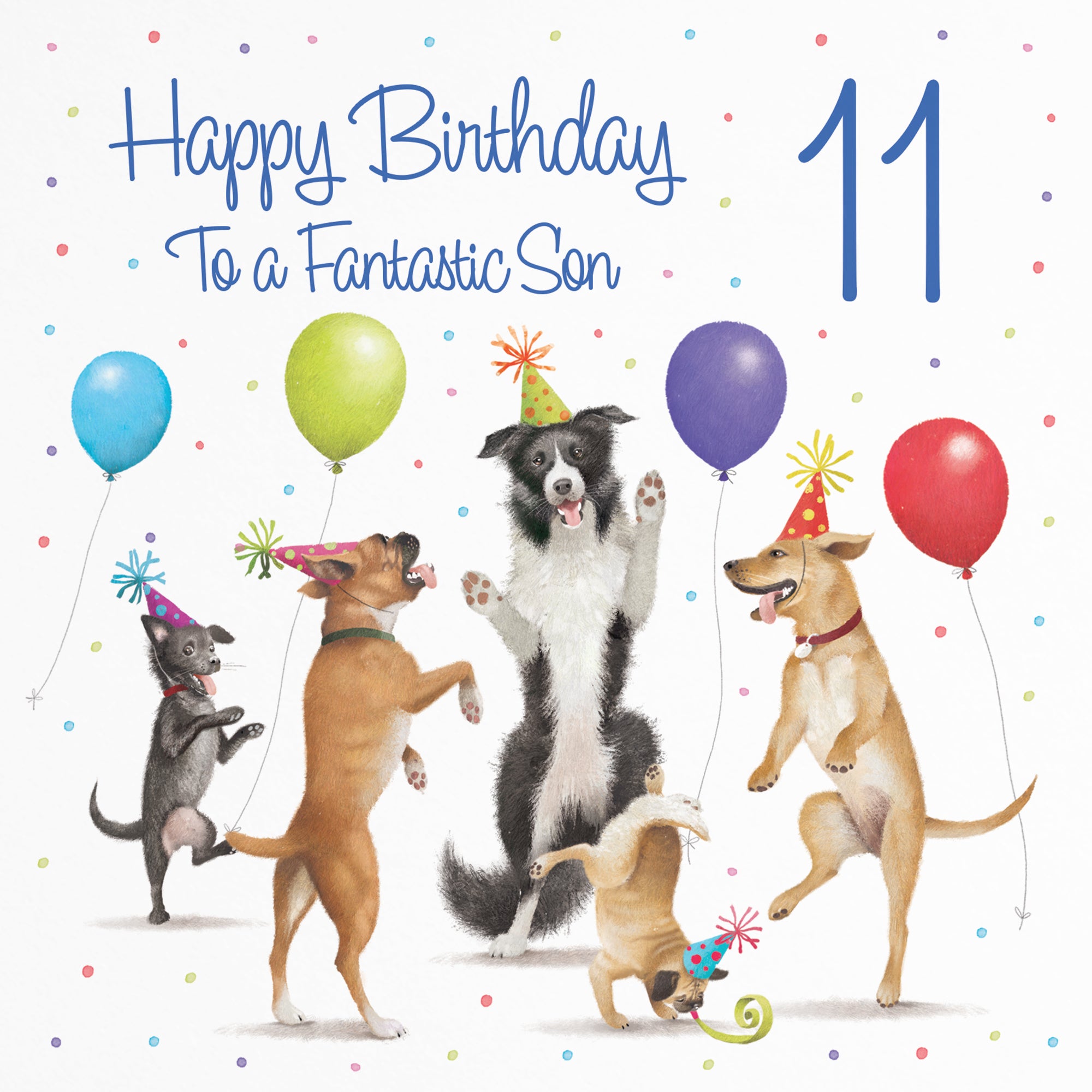 11th Son Birthday Card Dancing Dogs Milo's Gallery