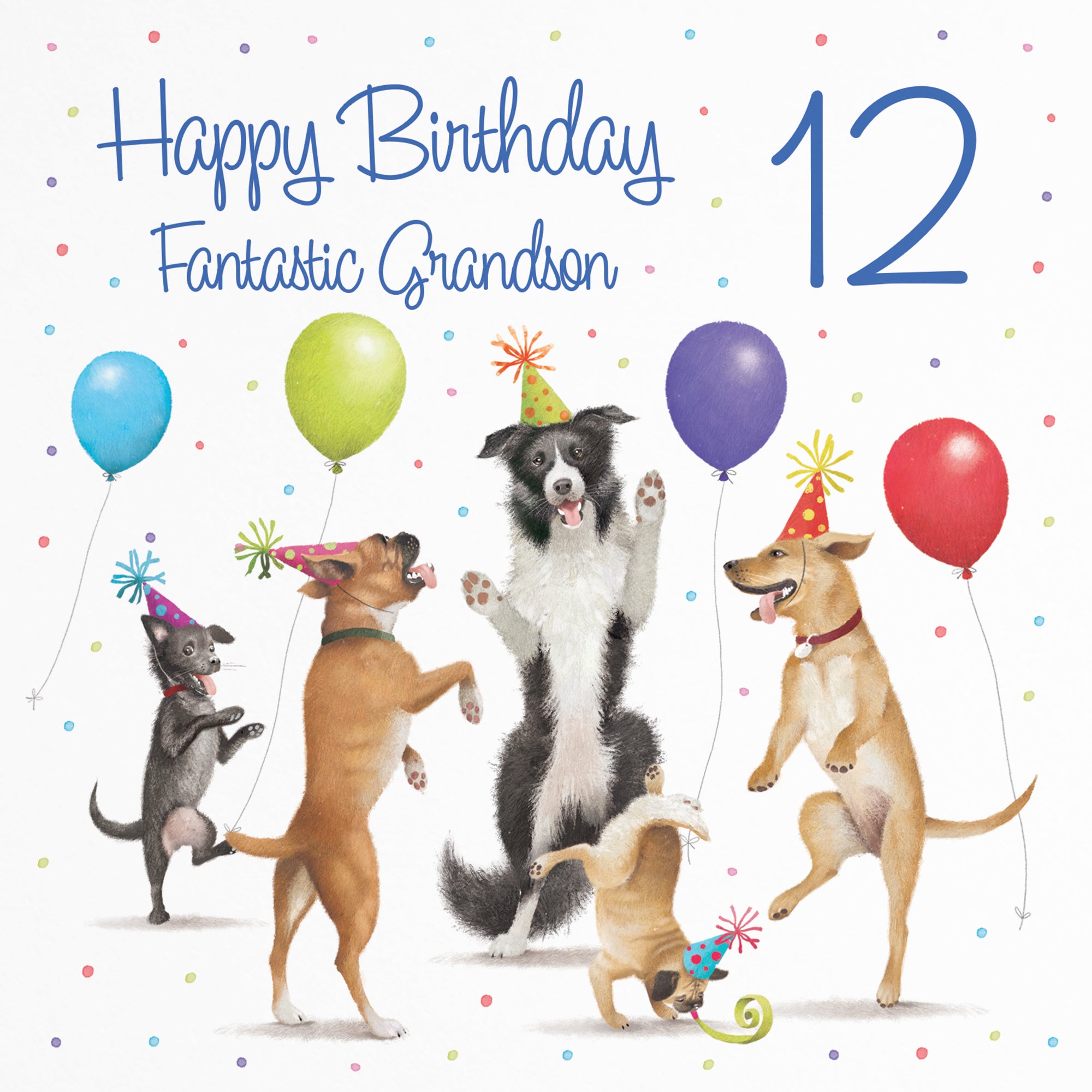 12th Grandson Birthday Card Dancing Dogs Milo's Gallery