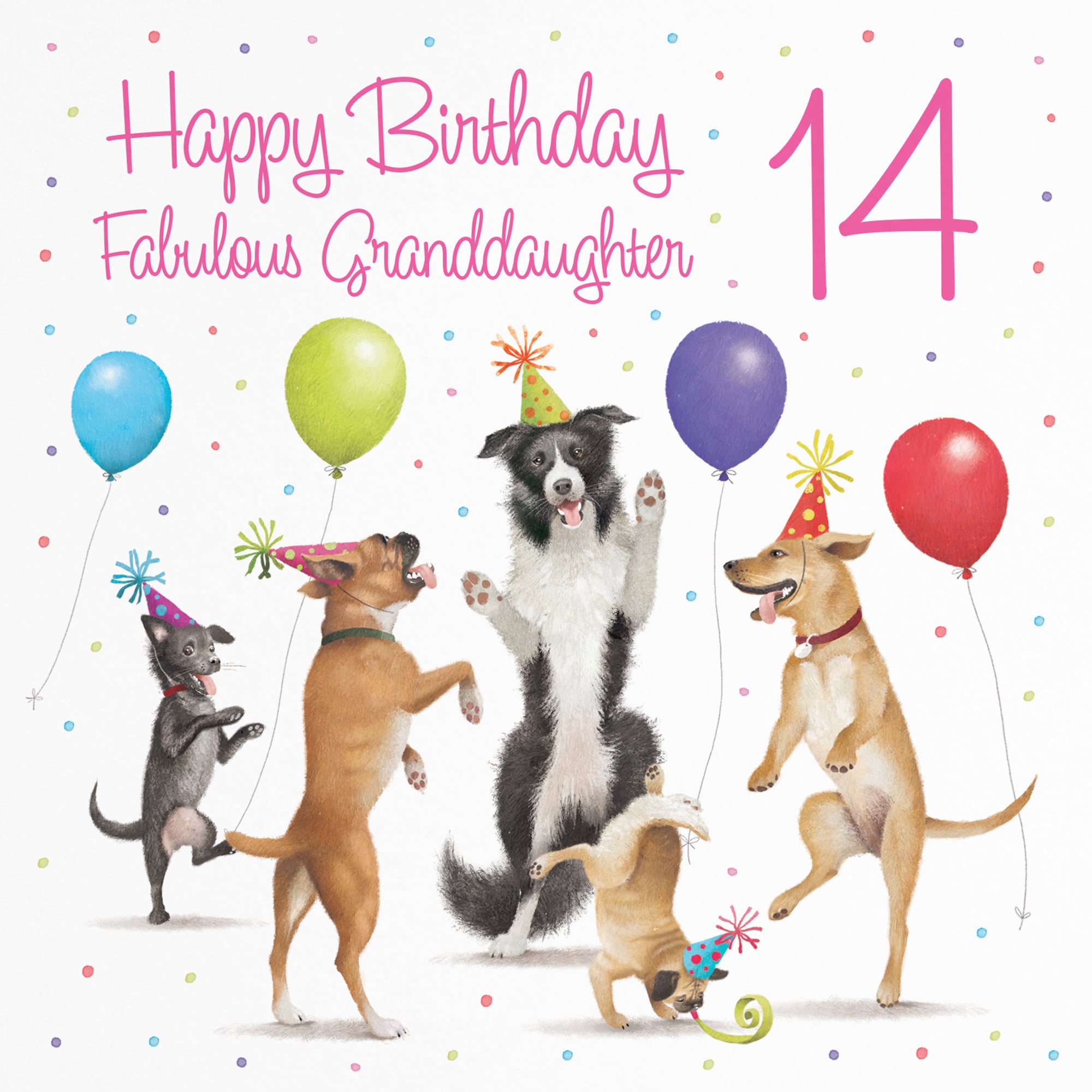 14th Granddaughter Birthday Card Dancing Dogs Milo's Gallery