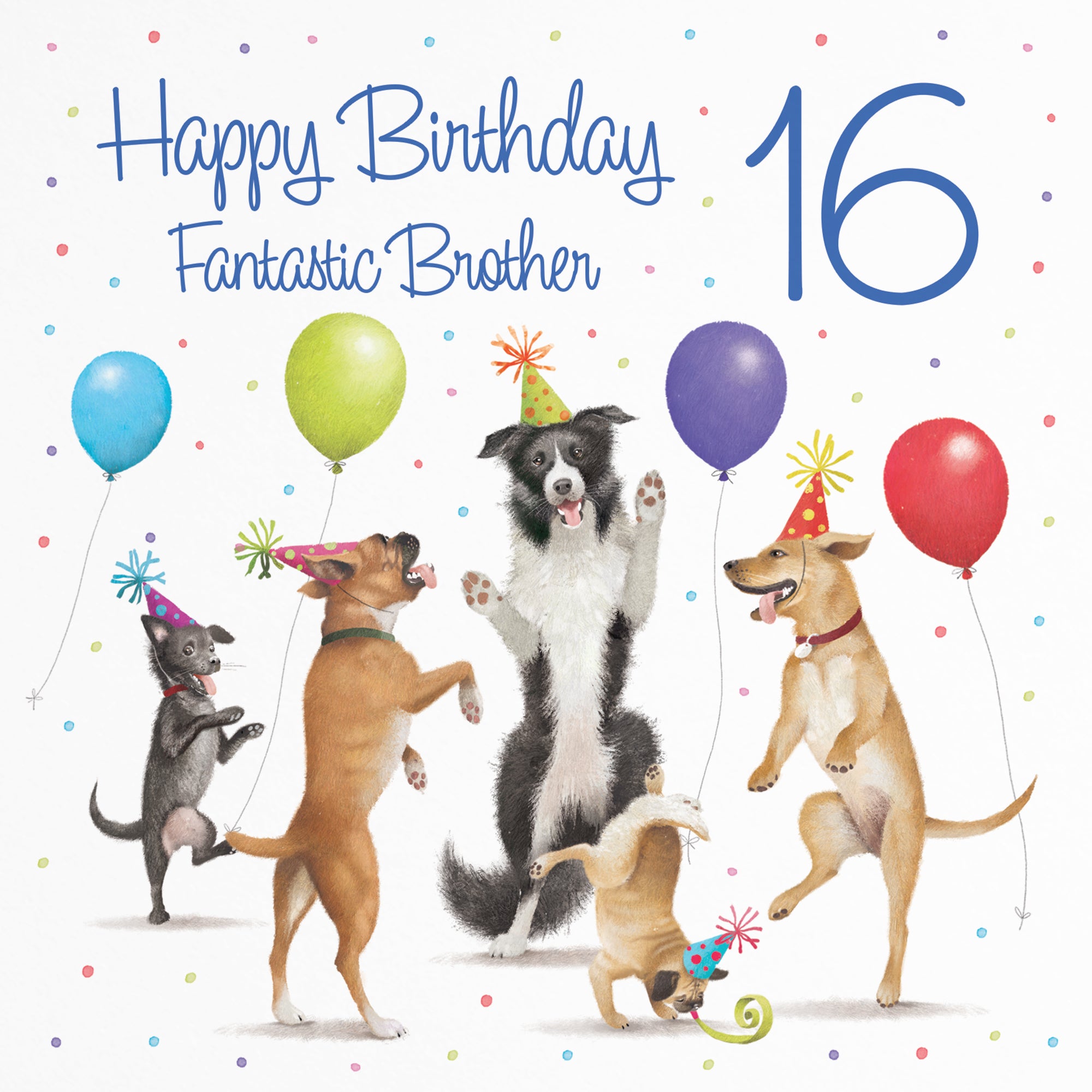 16th Brother Birthday Card Dancing Dogs Milo's Gallery