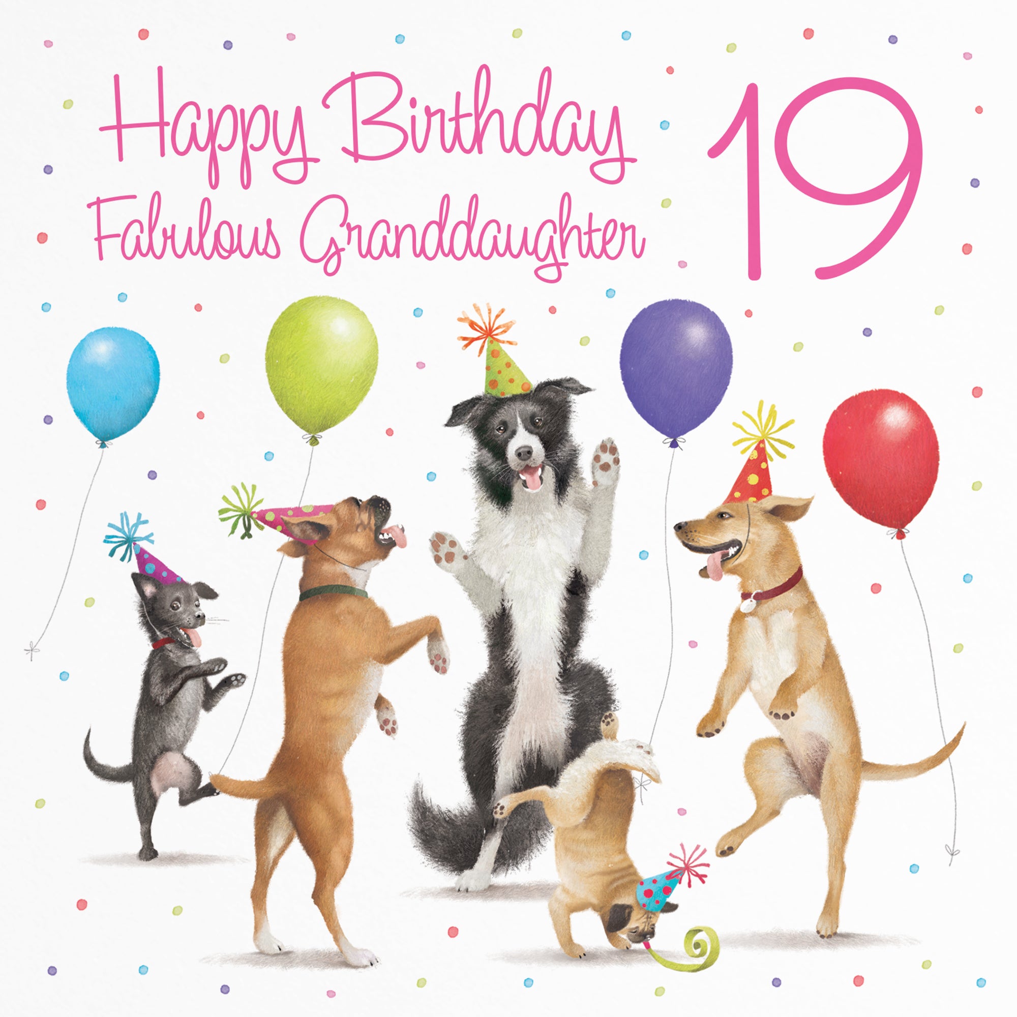 19th Granddaughter Birthday Card Dancing Dogs Milo's Gallery