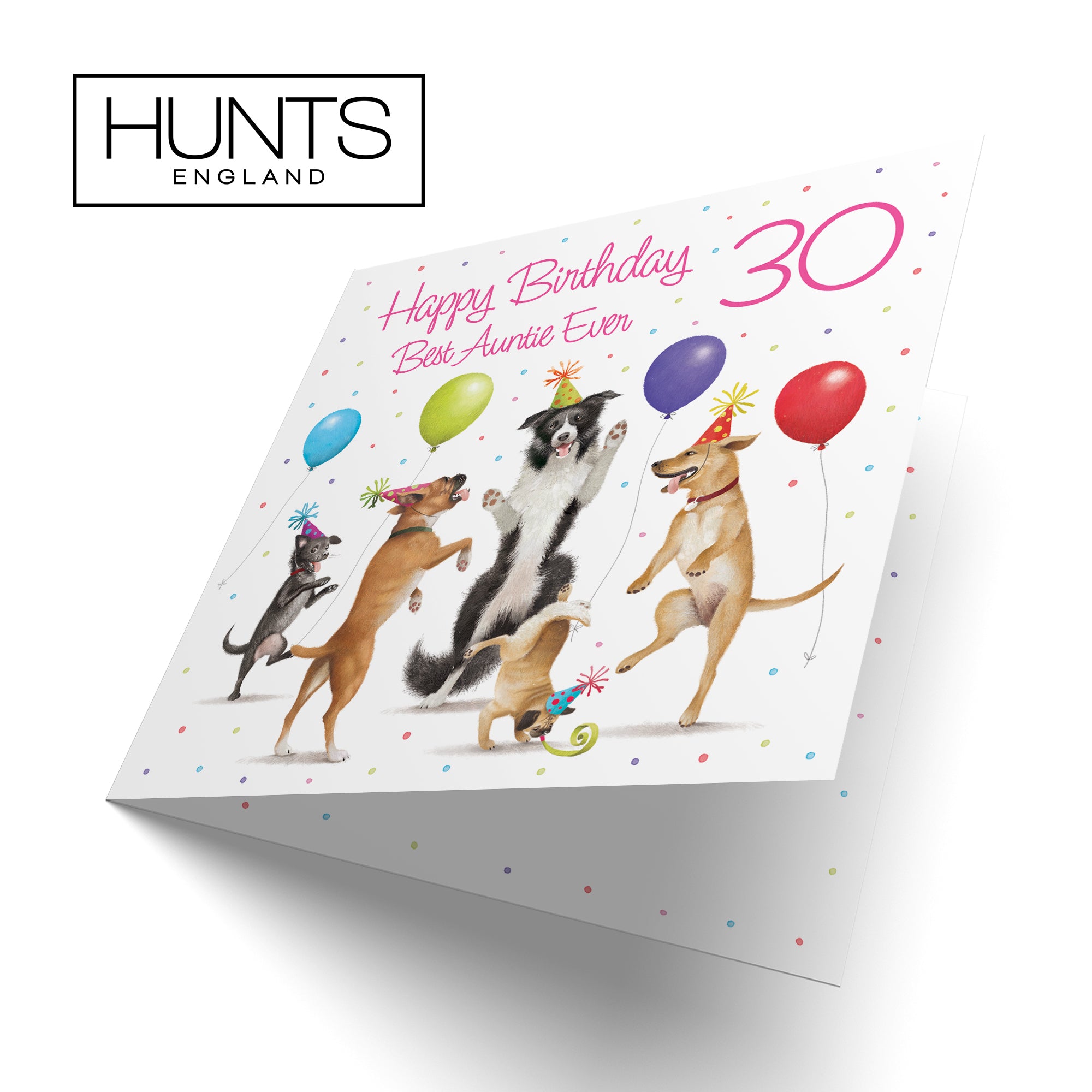 30th Auntie Birthday Card Dancing Dogs Milo's Gallery